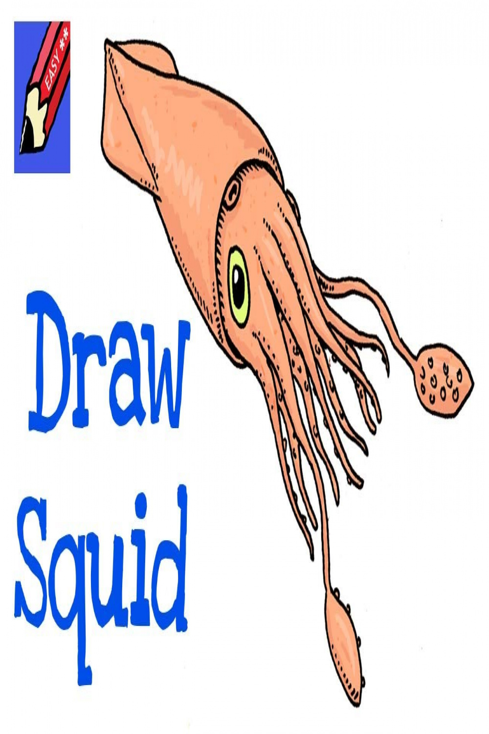 How to Draw a Squid Real Easy