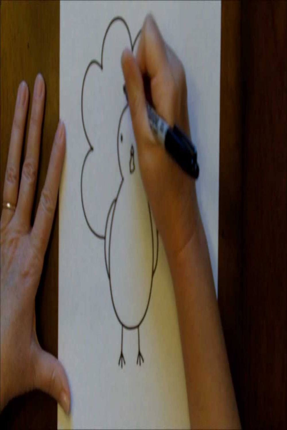 How to Draw a Turkey Cartoon Beginners Drawing Tutorial