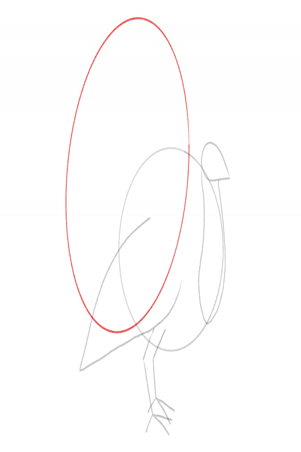 How to Draw a Turkey  Design School