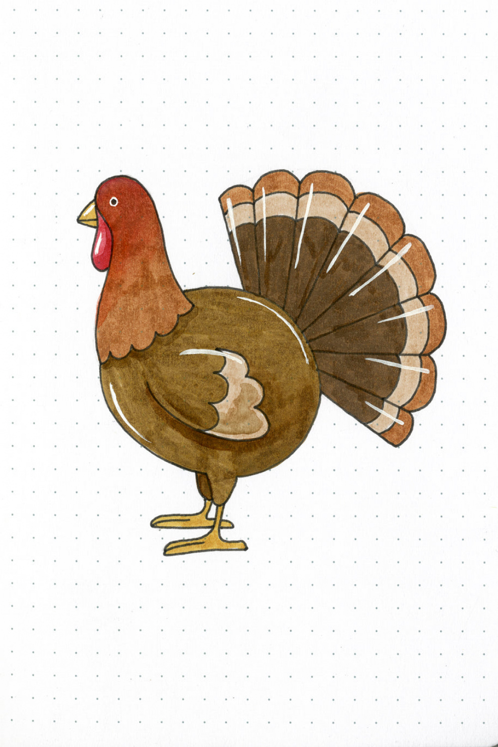 How To Draw A Turkey Tutorial - Step By Step For Beginners