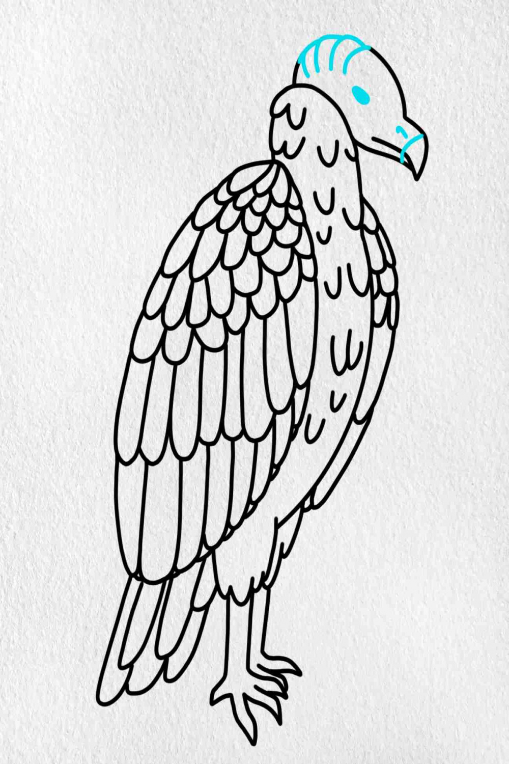 How to Draw a Vulture - HelloArtsy