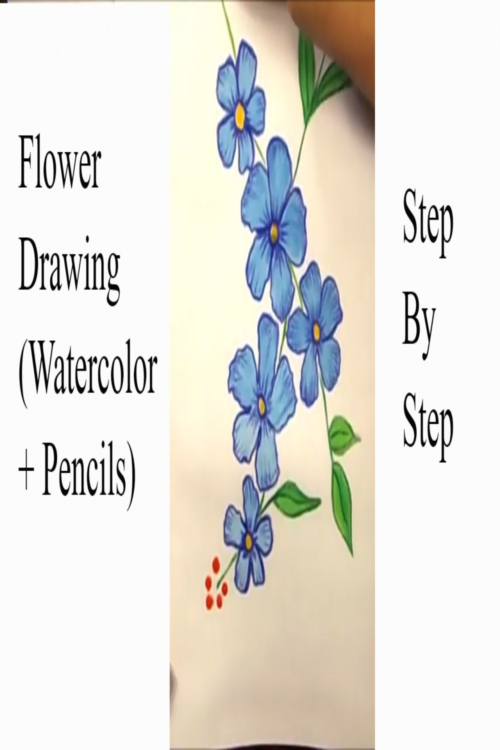 How to Draw Blue flower in Watercolor and Pencils / Drawing Blue Flowers