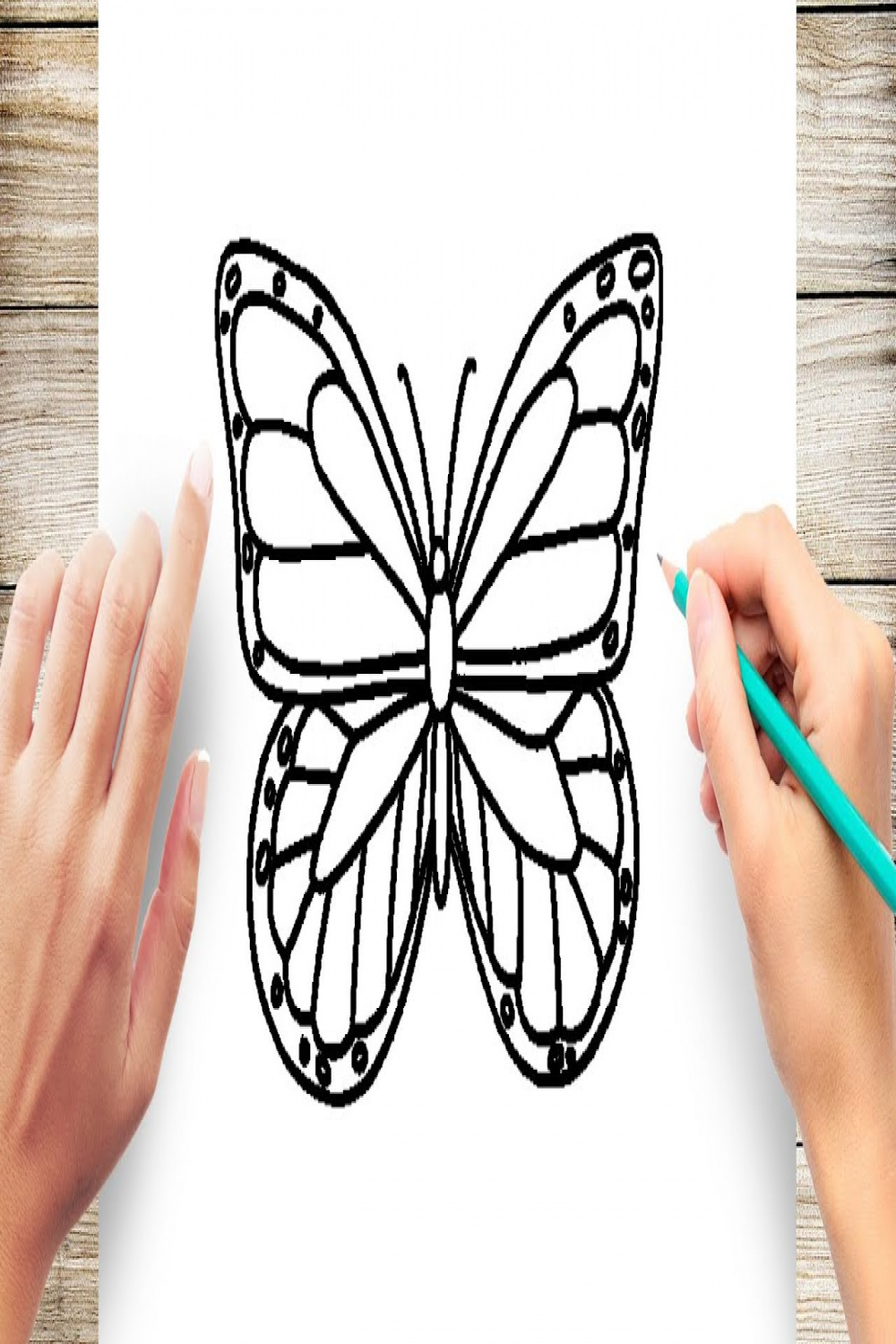 How to Draw Butterfly Easy