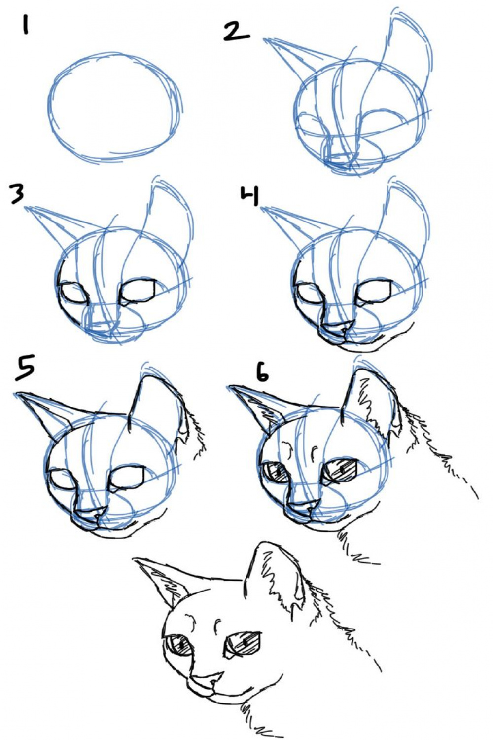 How to Draw Cat Faces/Heads- / View  Cat face drawing, Animal