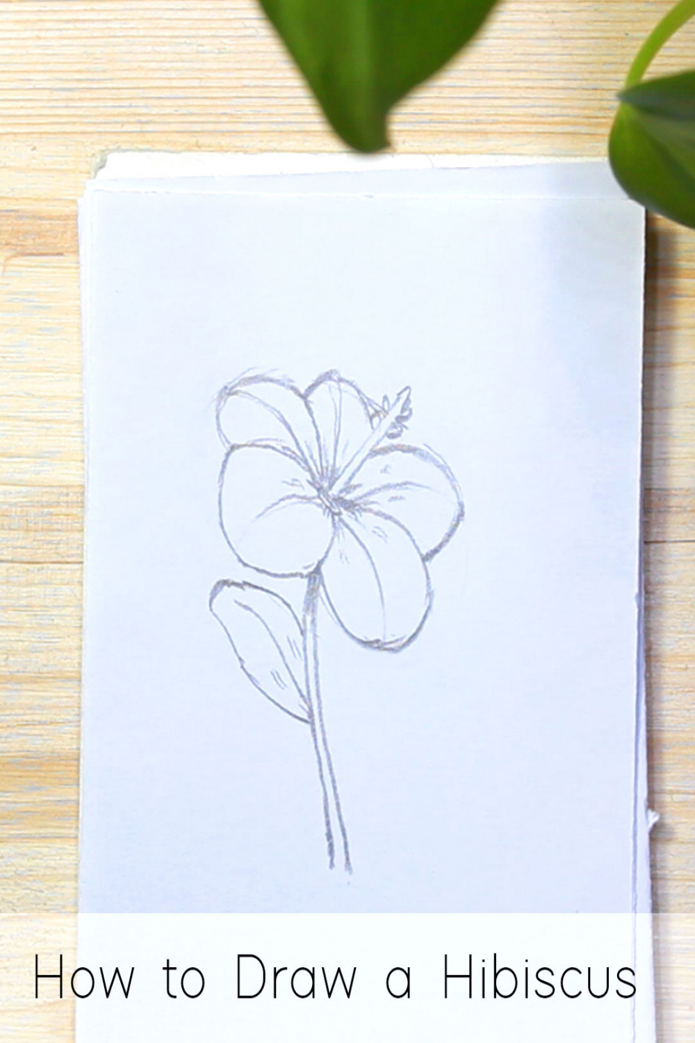 How to Draw Flowers: Step by Step Tutorials for Beginners - JeyRam