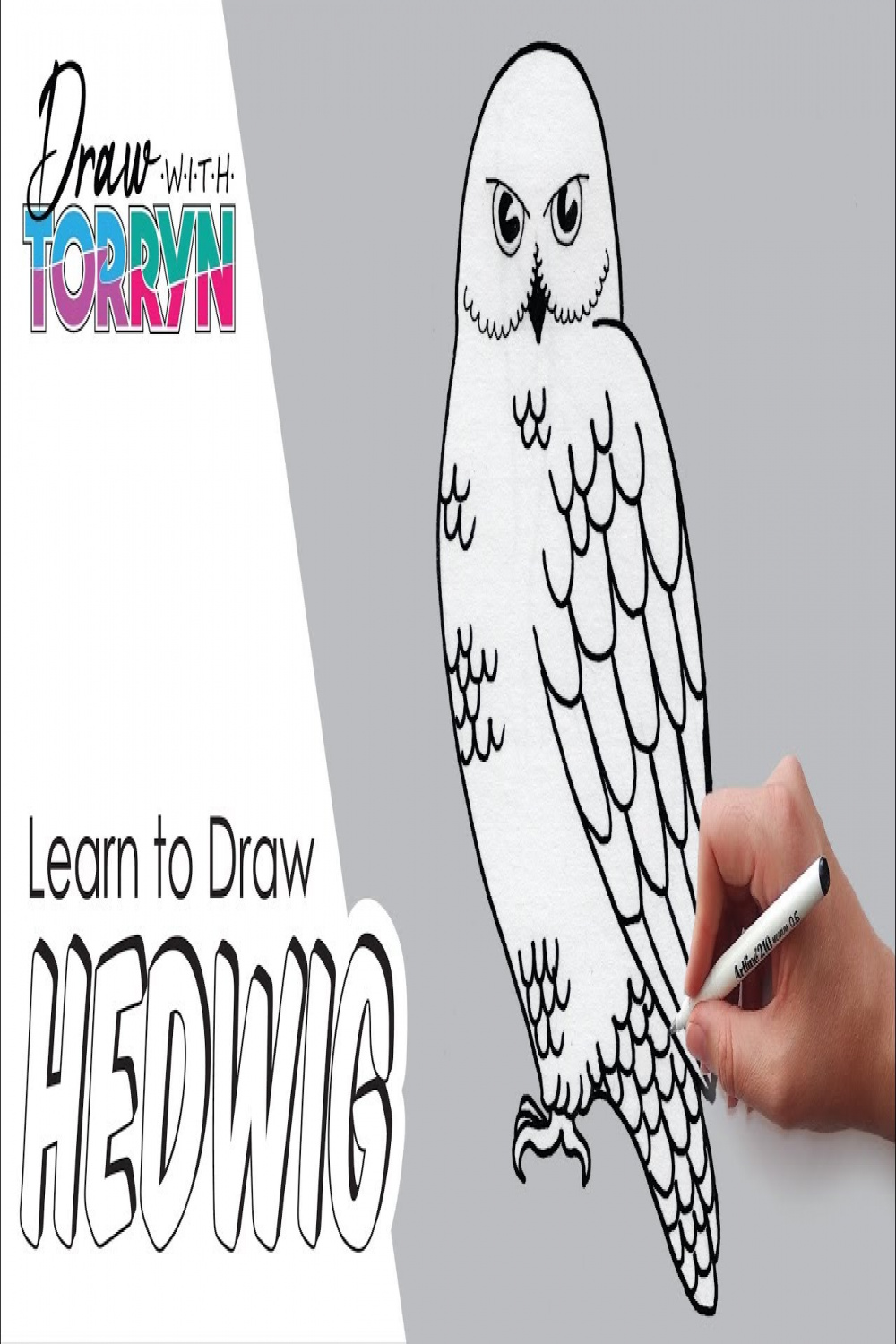 How to Draw HEDWIG  Step by Step Tutorial  easy 🦉🦉🦉