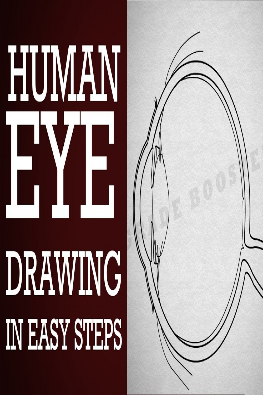 How to draw human #eye diagram step by step th Physics  science  CBSE  syllabus  NCERT class