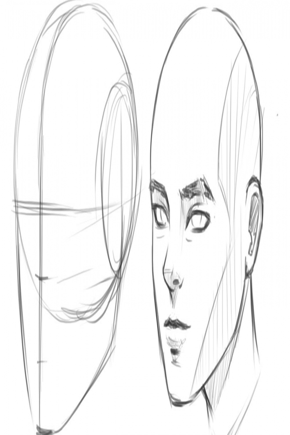 How to Draw Human Head / View  Drawing tutorial face, Drawing the human  head, Human drawing