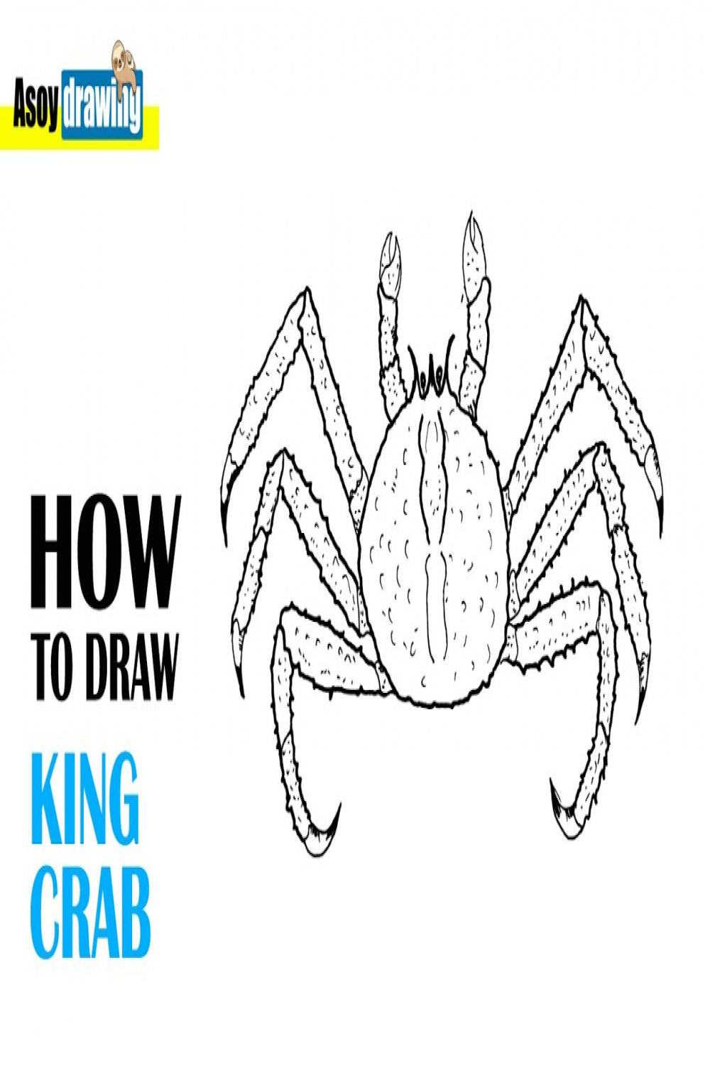 How to Draw King Crab - King Crab Drawing Easy