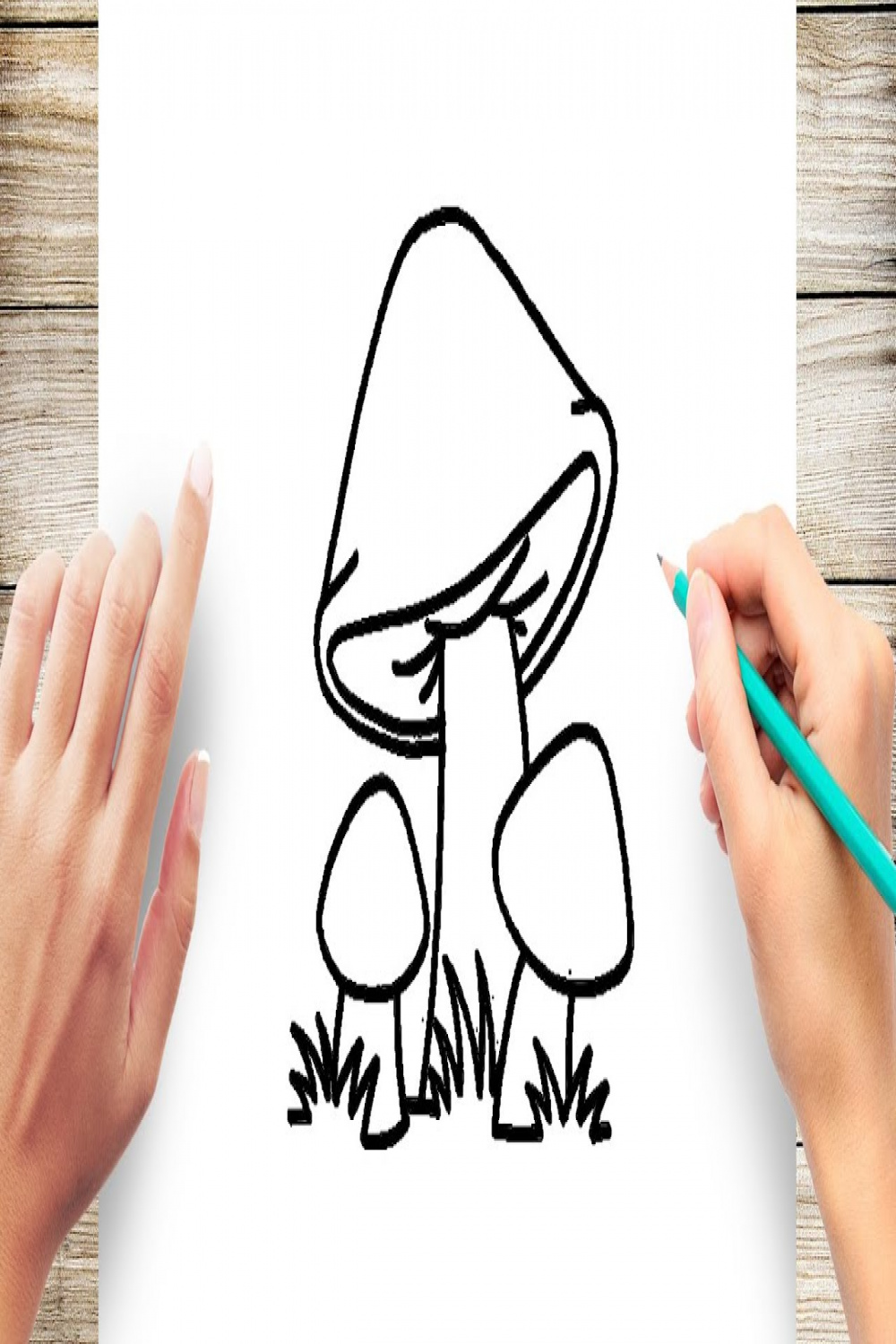 How to Draw Mushroom Easy