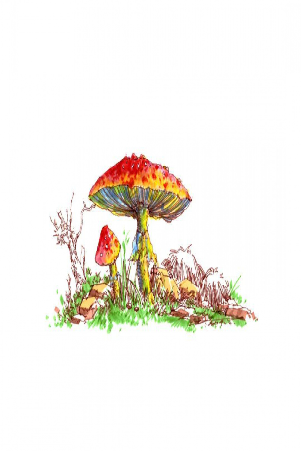 How to Draw Mushroom Step by Step  ArtBeek
