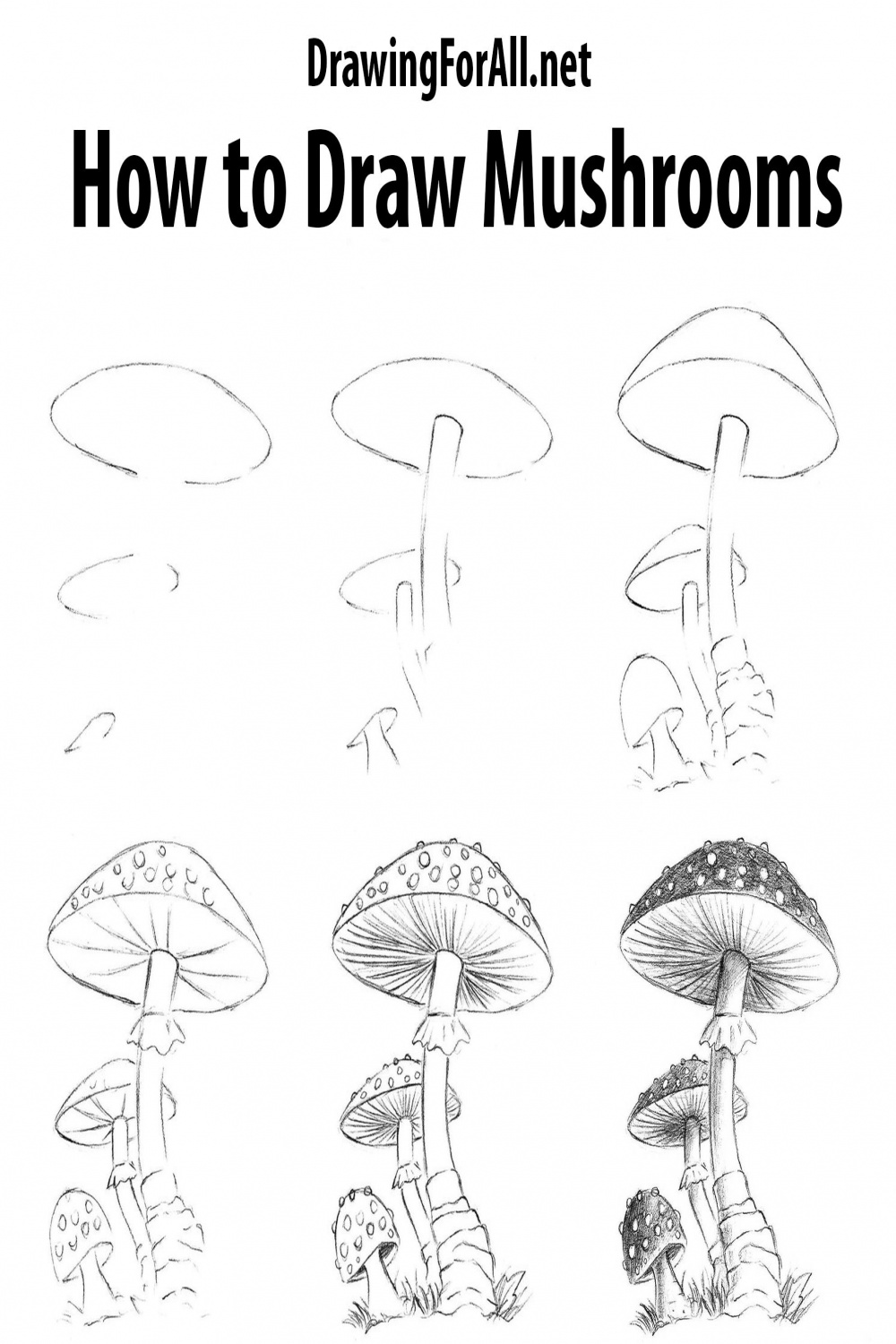 How to Draw Mushrooms  Mushroom drawing, Drawings, Flower drawing