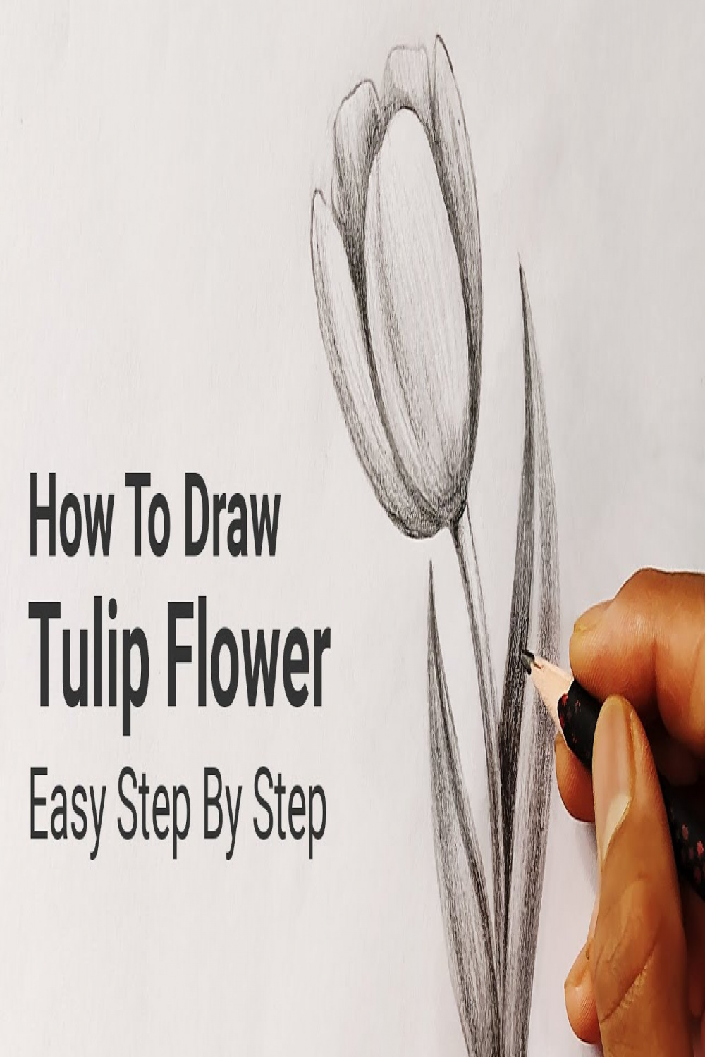 How To Draw Tulip Flower Easy Step By Step  Nature Drawing Lesson   Art  tutorials