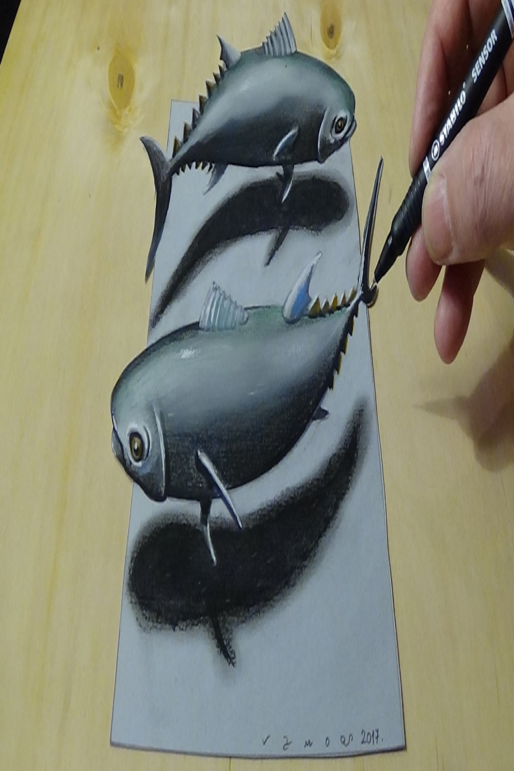 How to Draw Tuna Fish - Drawing D Fish Illusion on Paper -By Vamos