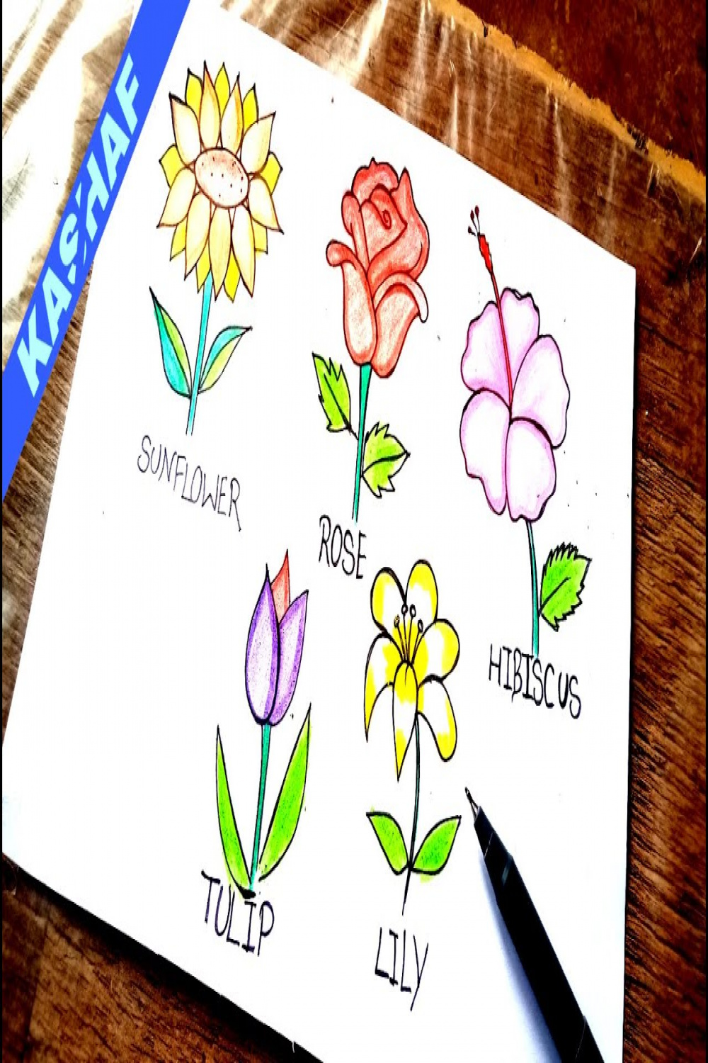 How to draw very easy five flowers drawing  sun flower, rose, hibiscus,  tulip & lily kashaf art