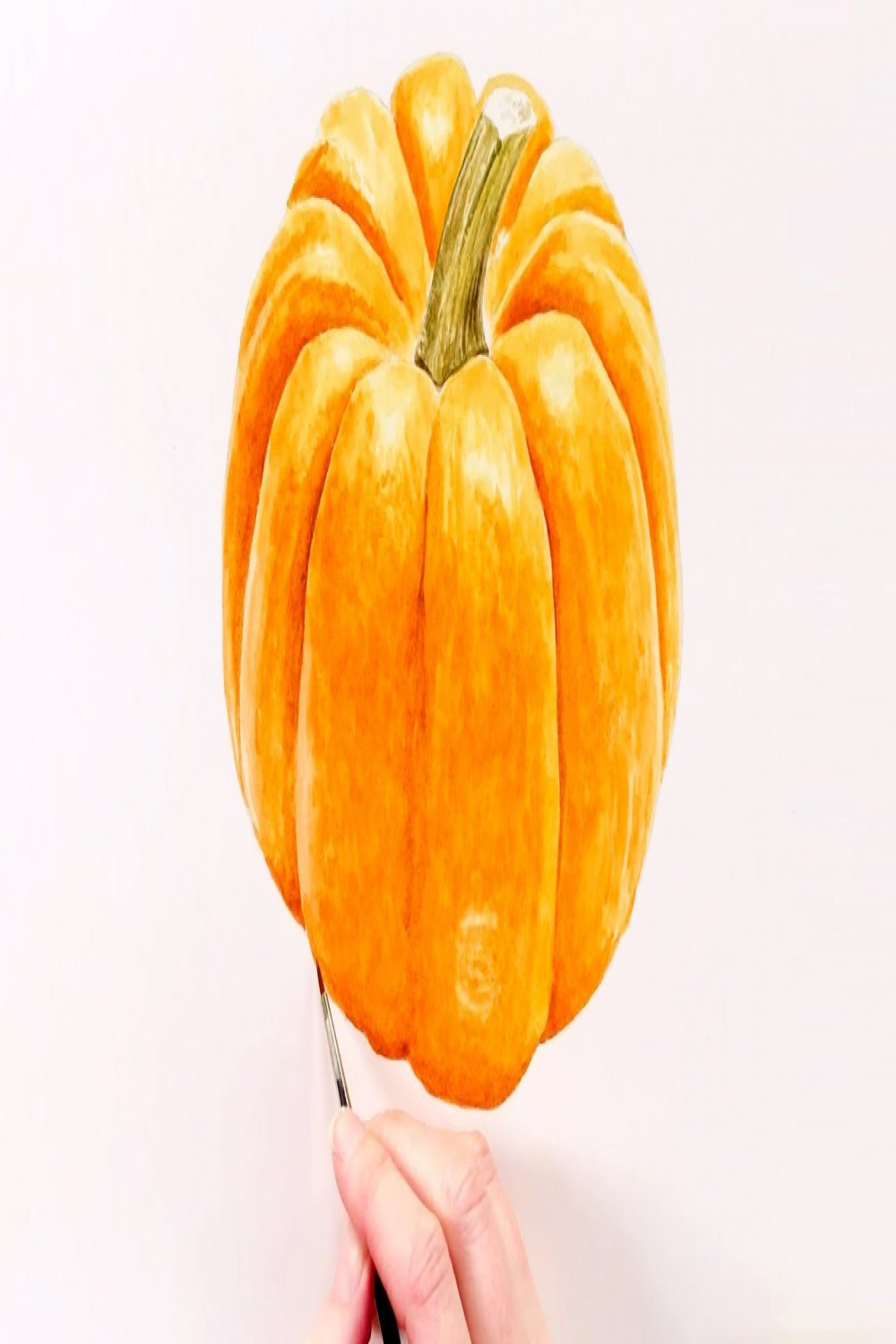 How to paint a realistic pumpkin in watercolour with Anna Mason