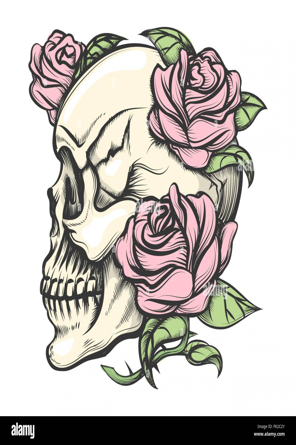 Human skull with roses drawn in tattoo style