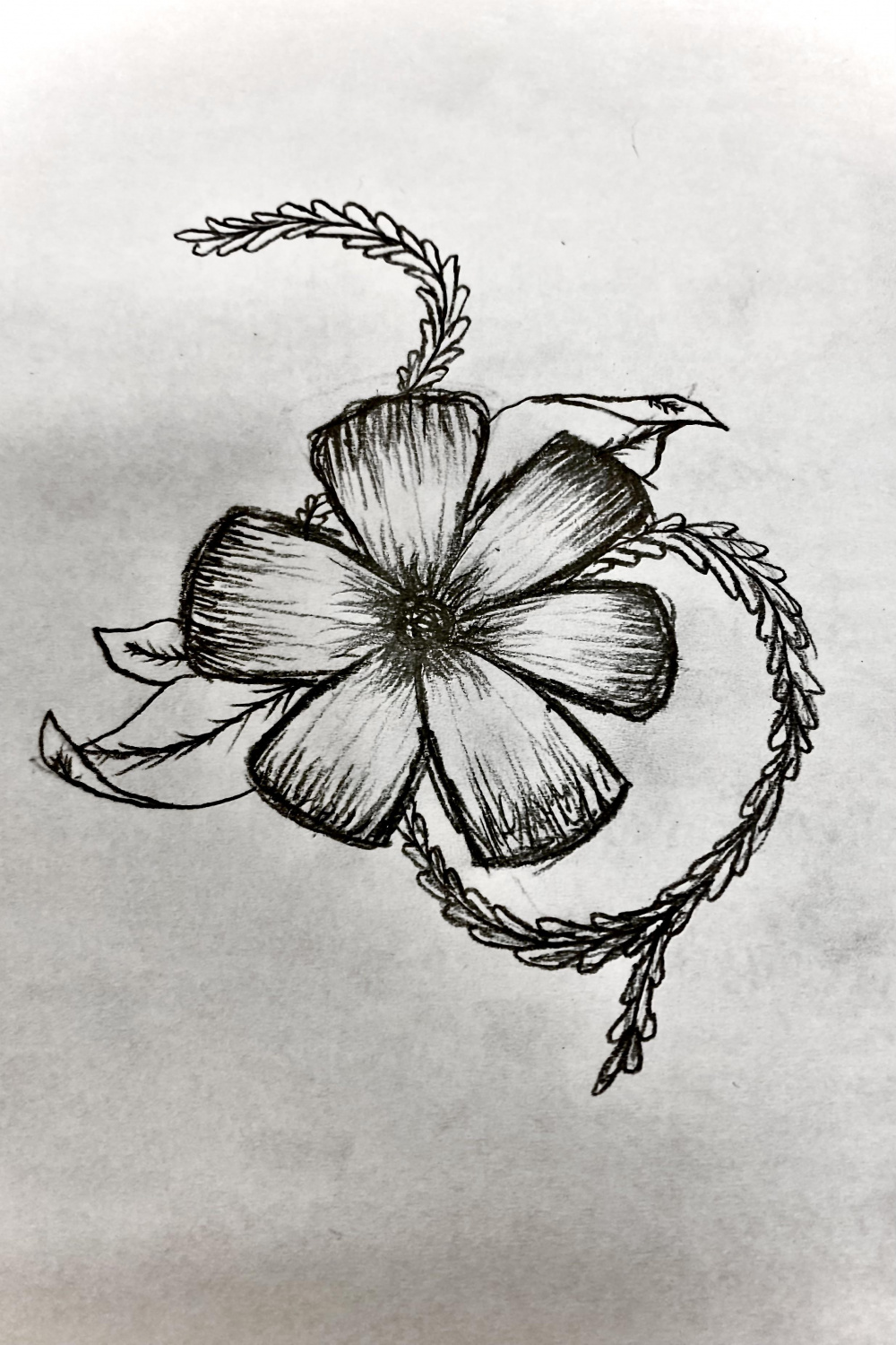 I drew this flower and turned up the contrast a bit because the
