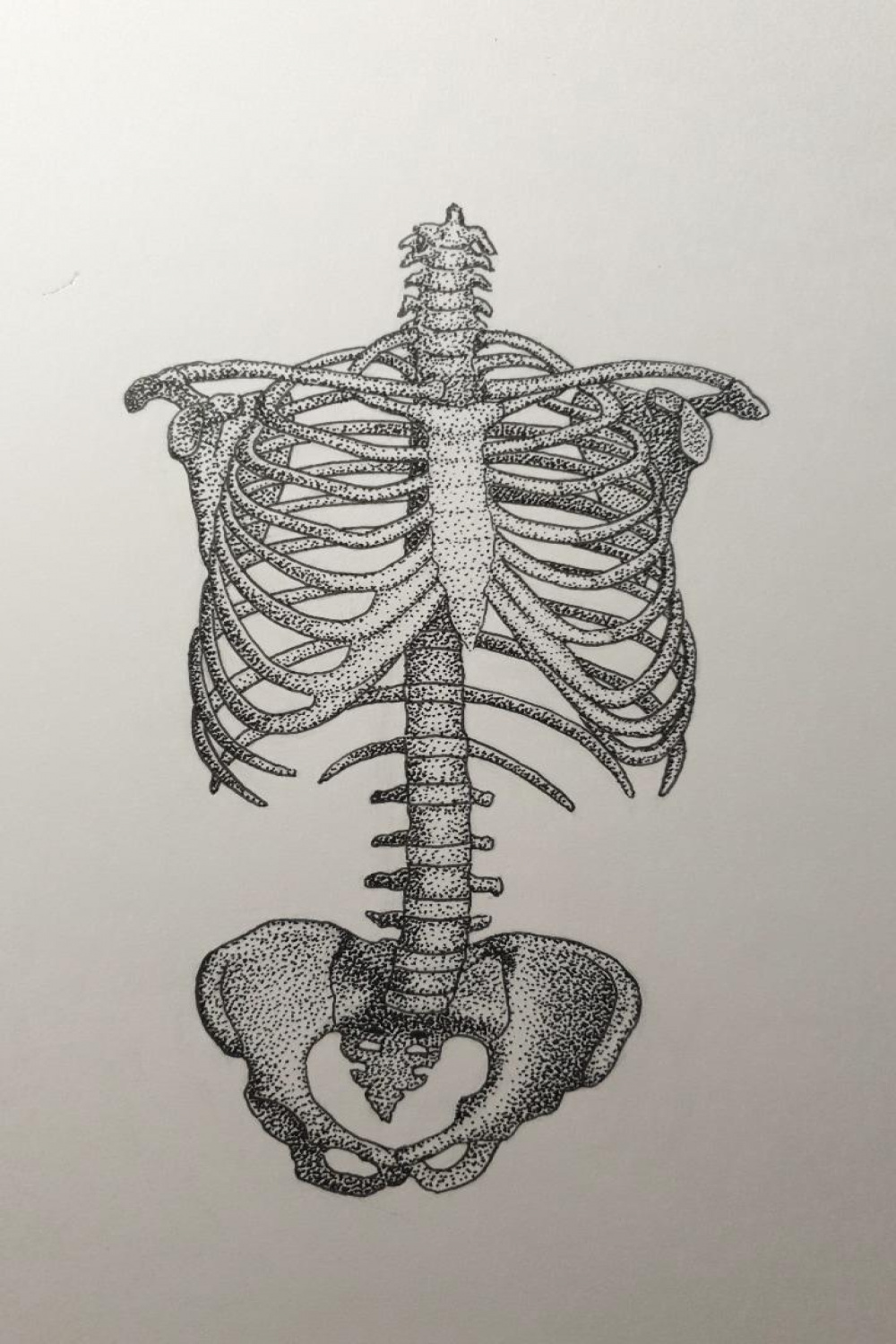 I inked the skeleton! : r/drawing