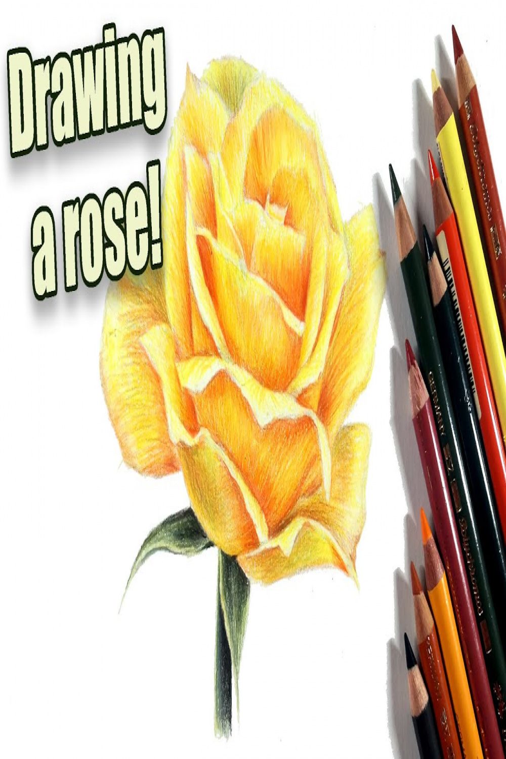 Improving your freehand drawing skills!  Rose in colored pencil
