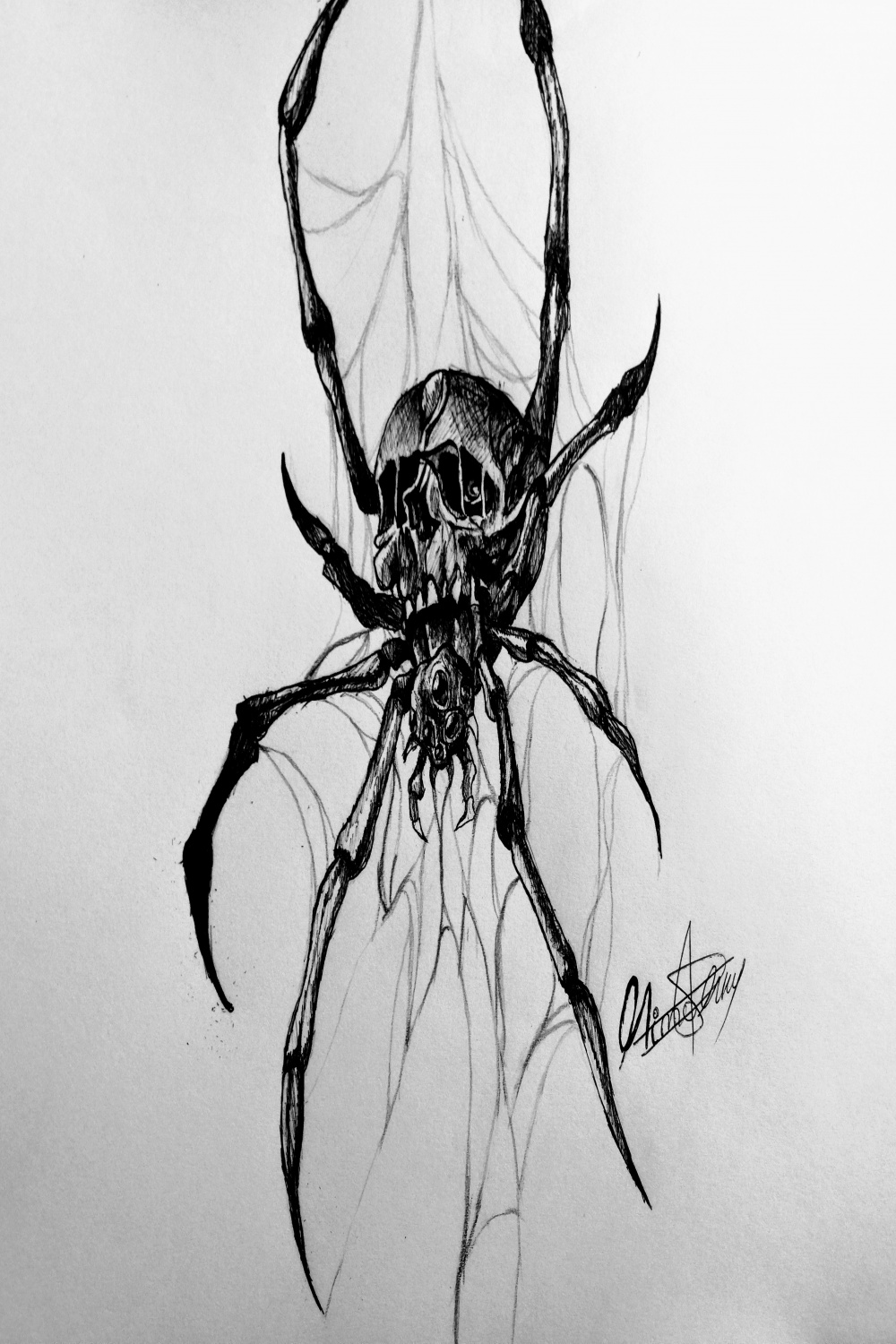 Ink drawing of a Scary Spider (ENG/ESP) — Hive