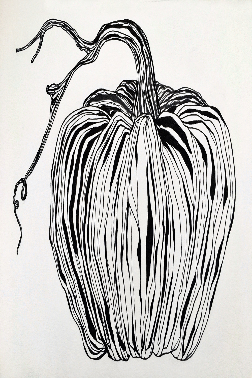 Ink Pumpkin Drawing - Etsy Finland