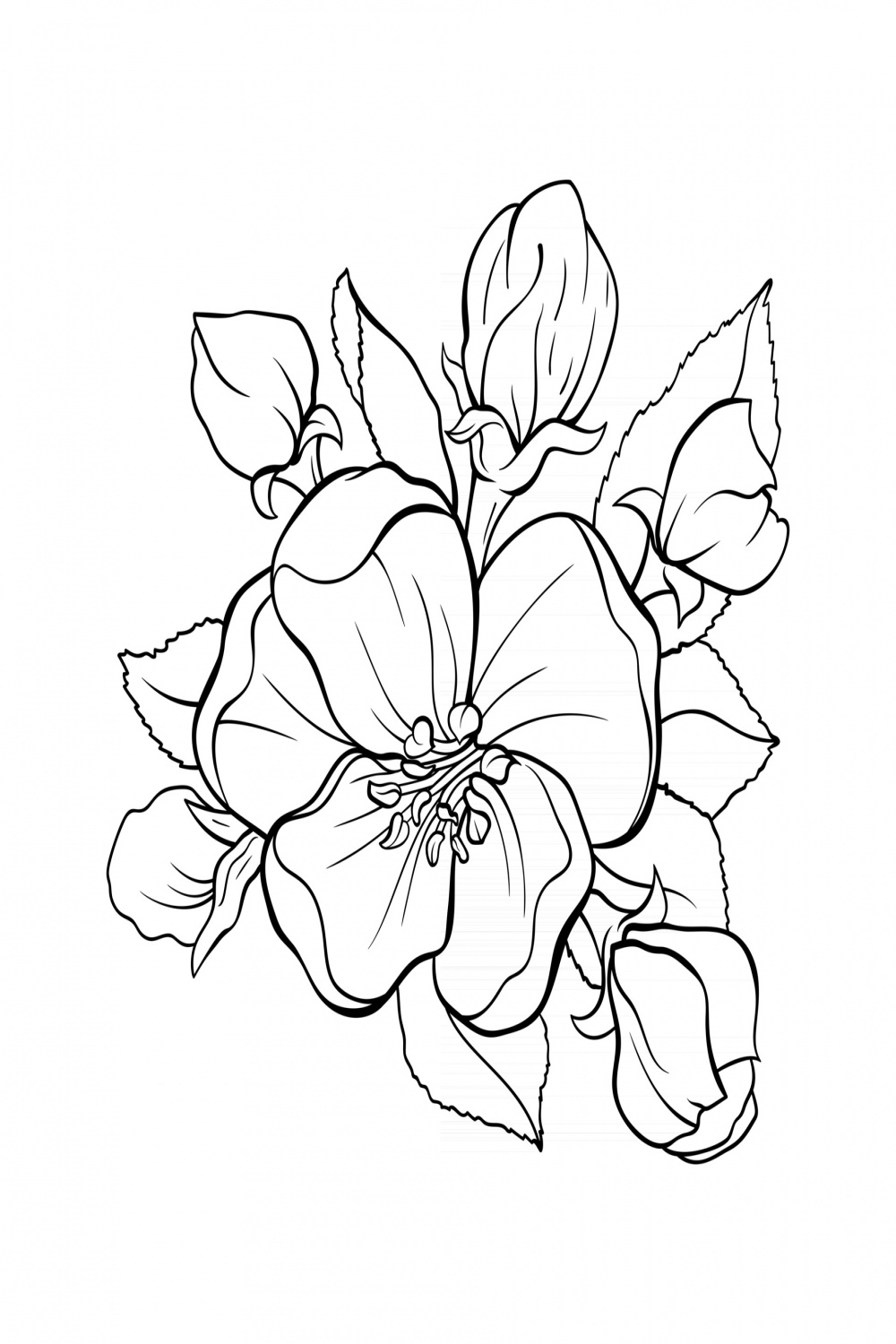 Japanese apple tree flower bouquet contour drawing  Vector