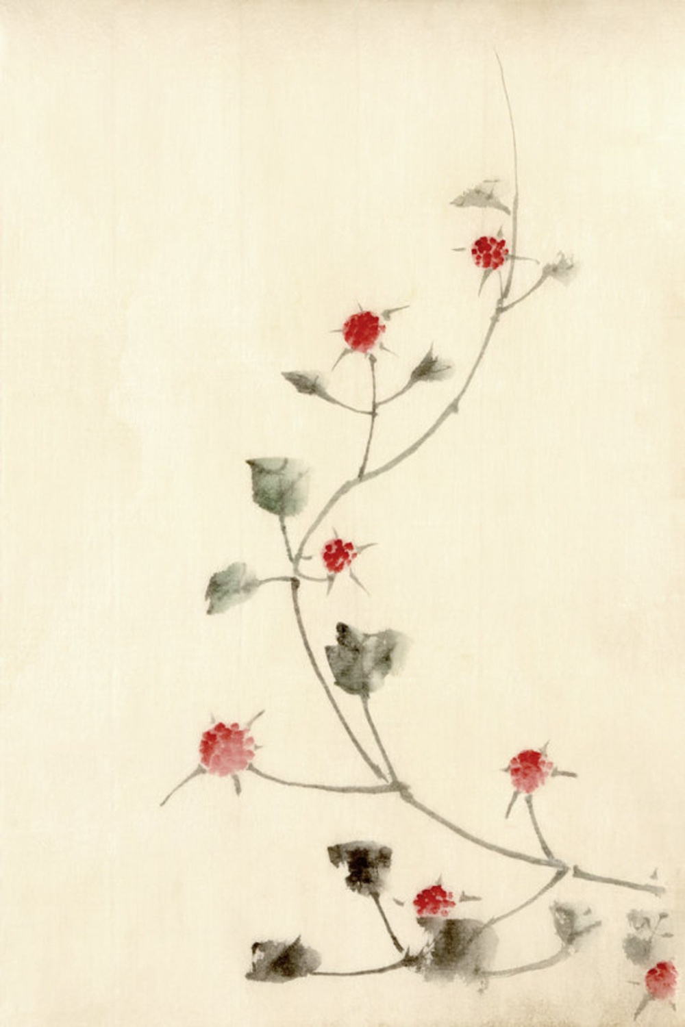 Japanese Art Hokusai Flower Drawings Red Blossoms on a Vine - Etsy