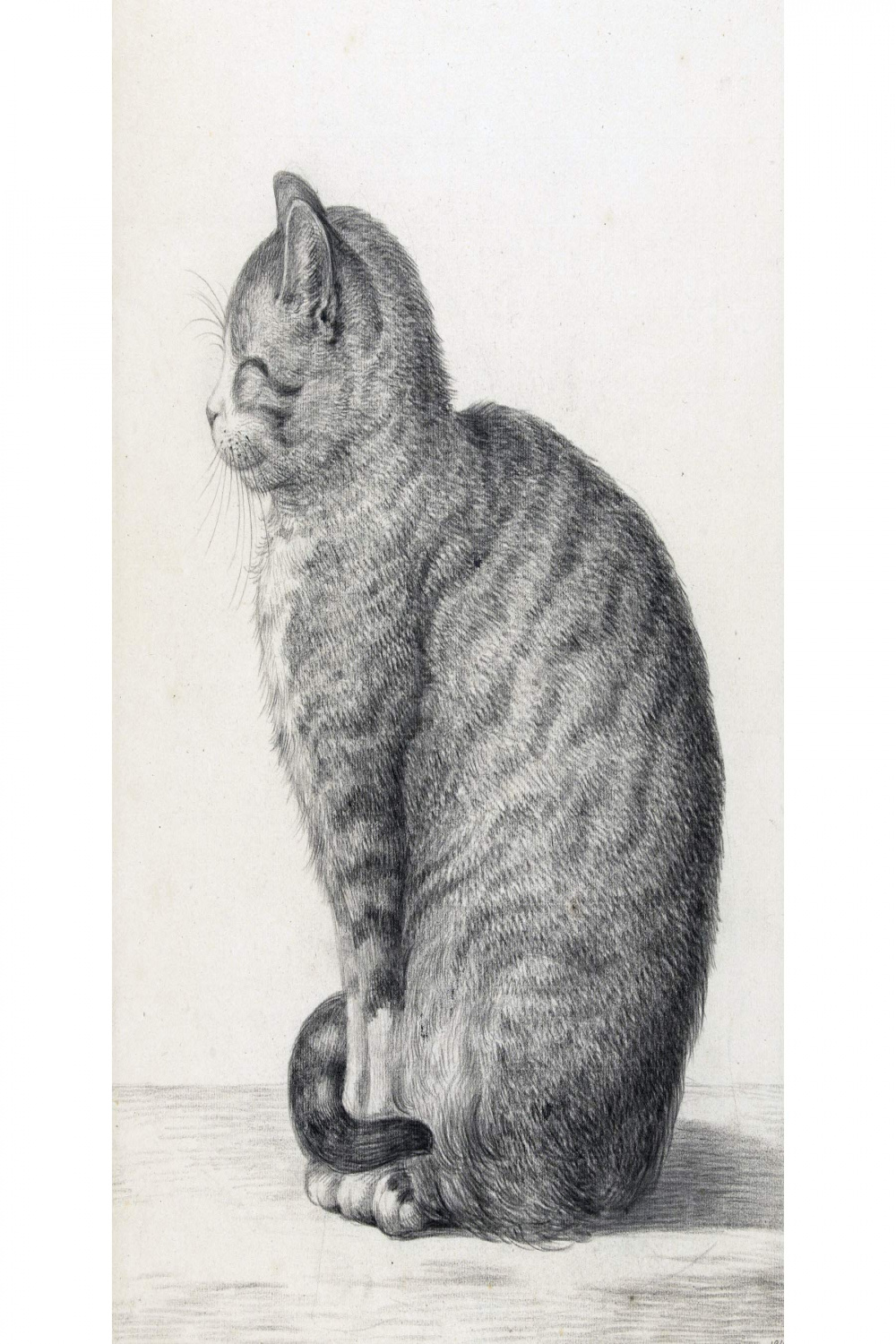 Jean Bernard Sitting Cat To Left Pencil Drawing Large Wall Art Poster Print  Thick Paper X Inch Zeichnung Wand Poster drucken
