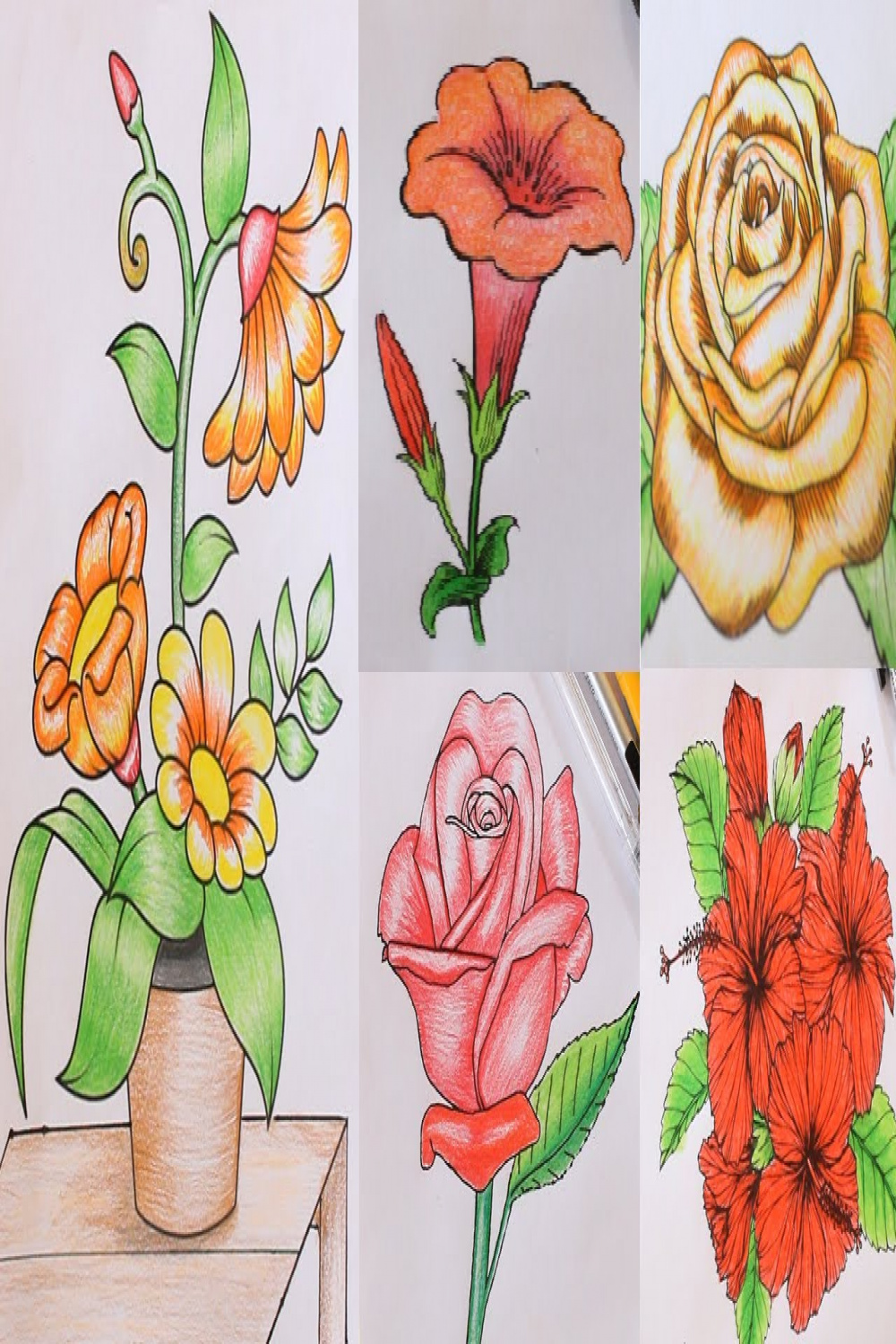 Learn to draw  different flowers in easy way beginners