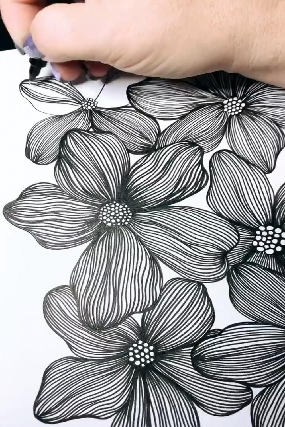 Line flower drawing [Video]  Line art drawings, Flower drawing