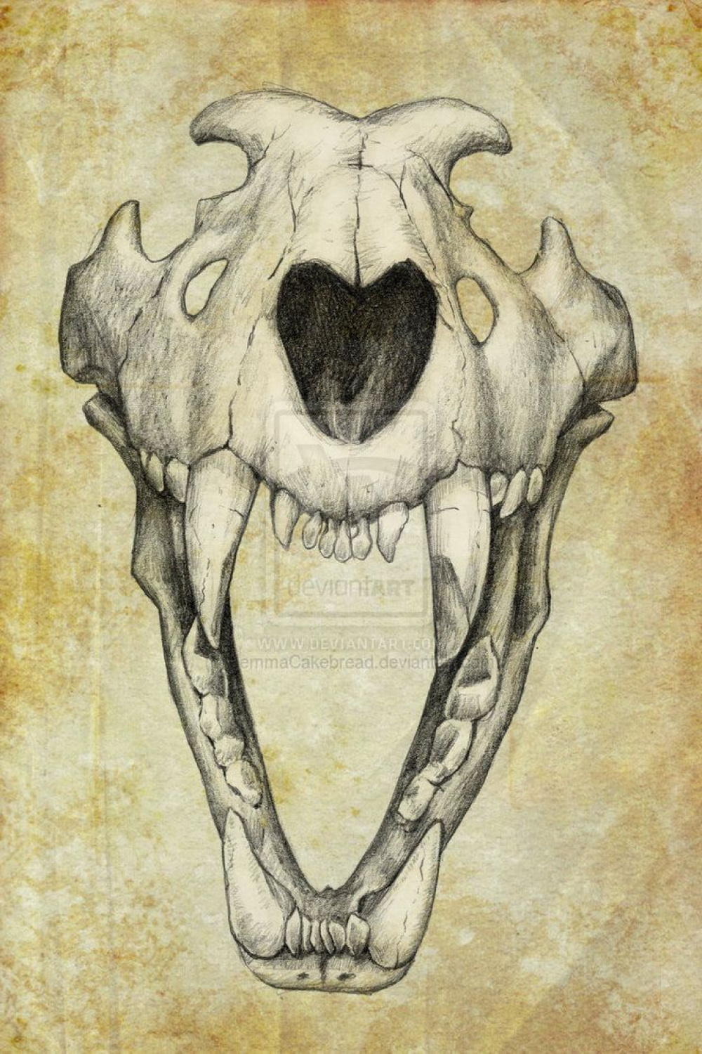 Lion Skull by JemmaCakebread on deviantART  Skull drawing, Skull