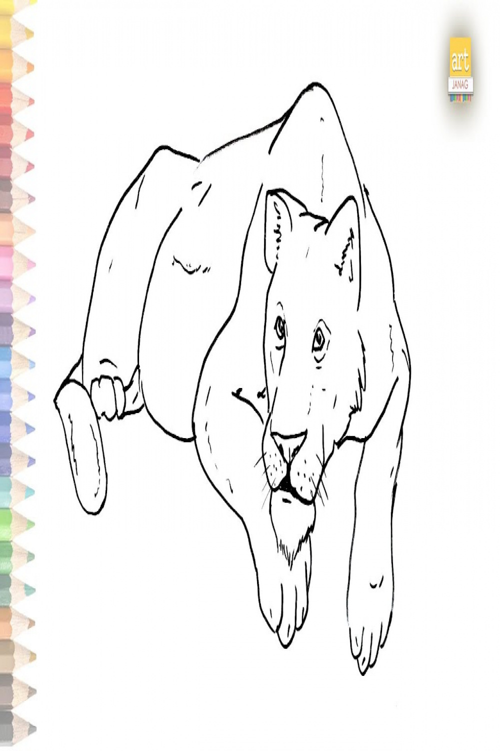 Lioness drawing easy  How to draw A Lioness step by step  Draw A Lion