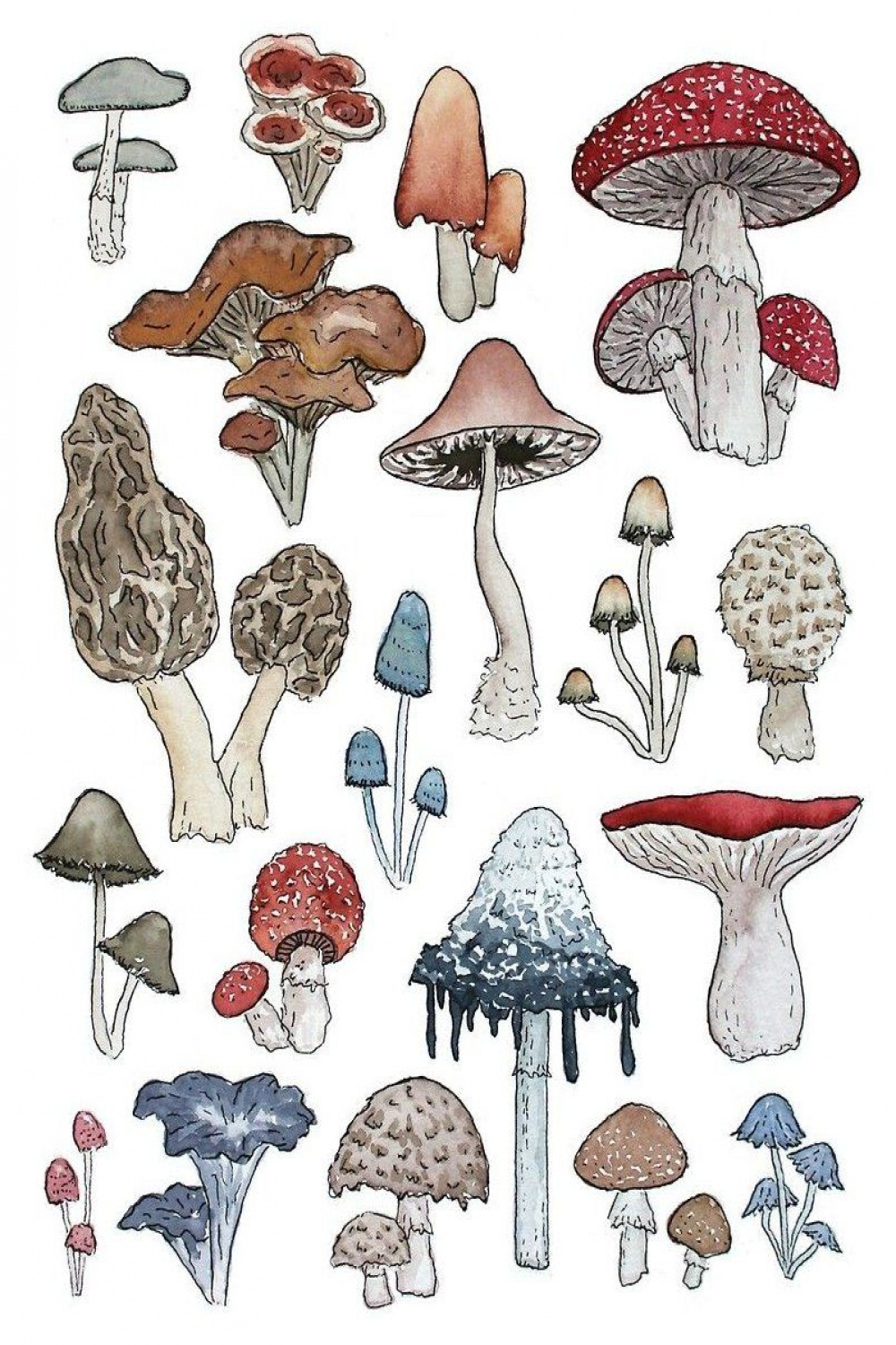 Make Room for the Mushrooms
