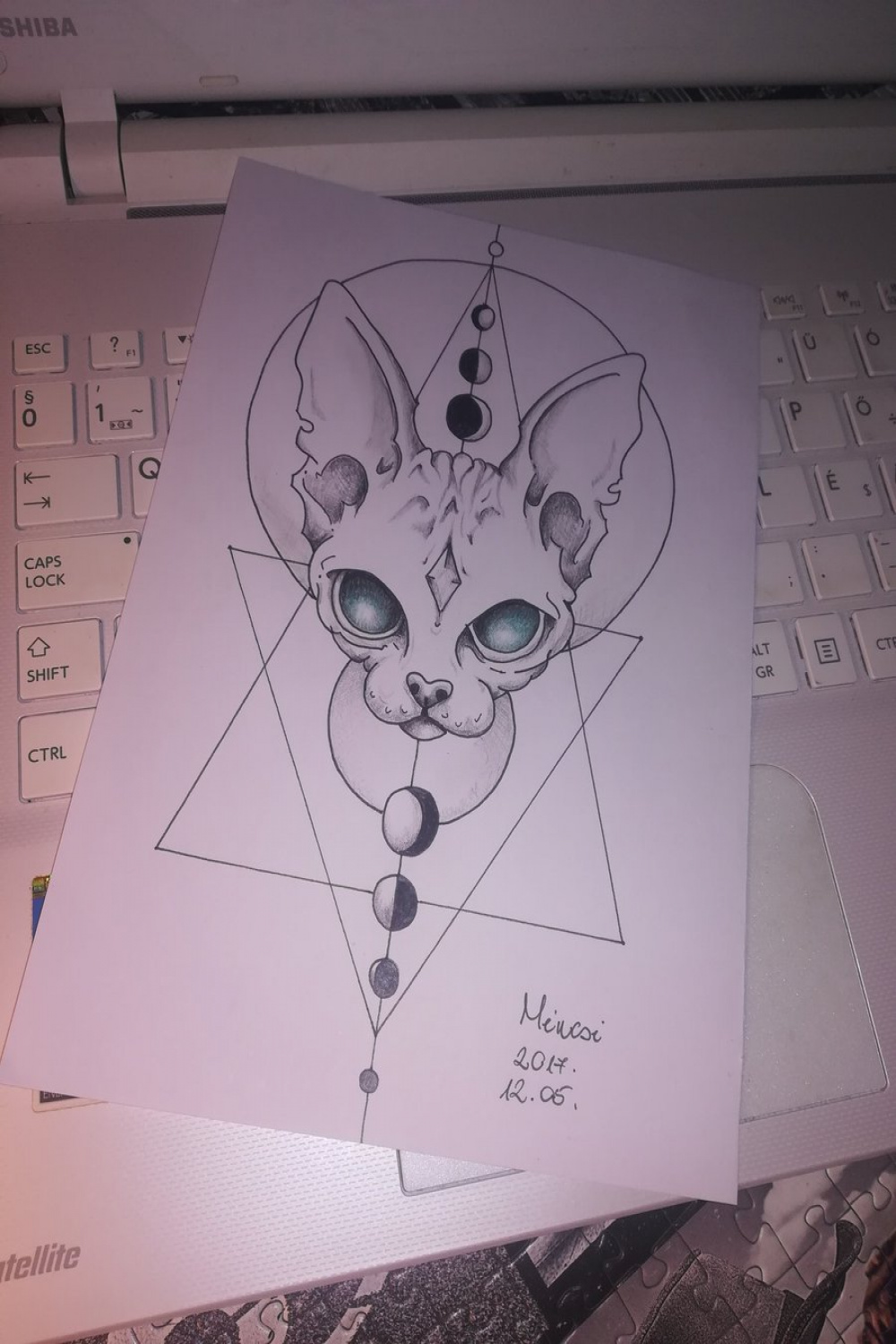 Mincsi on X: "#draw #drawart #drawing #cat #sphinxcat #sphinx