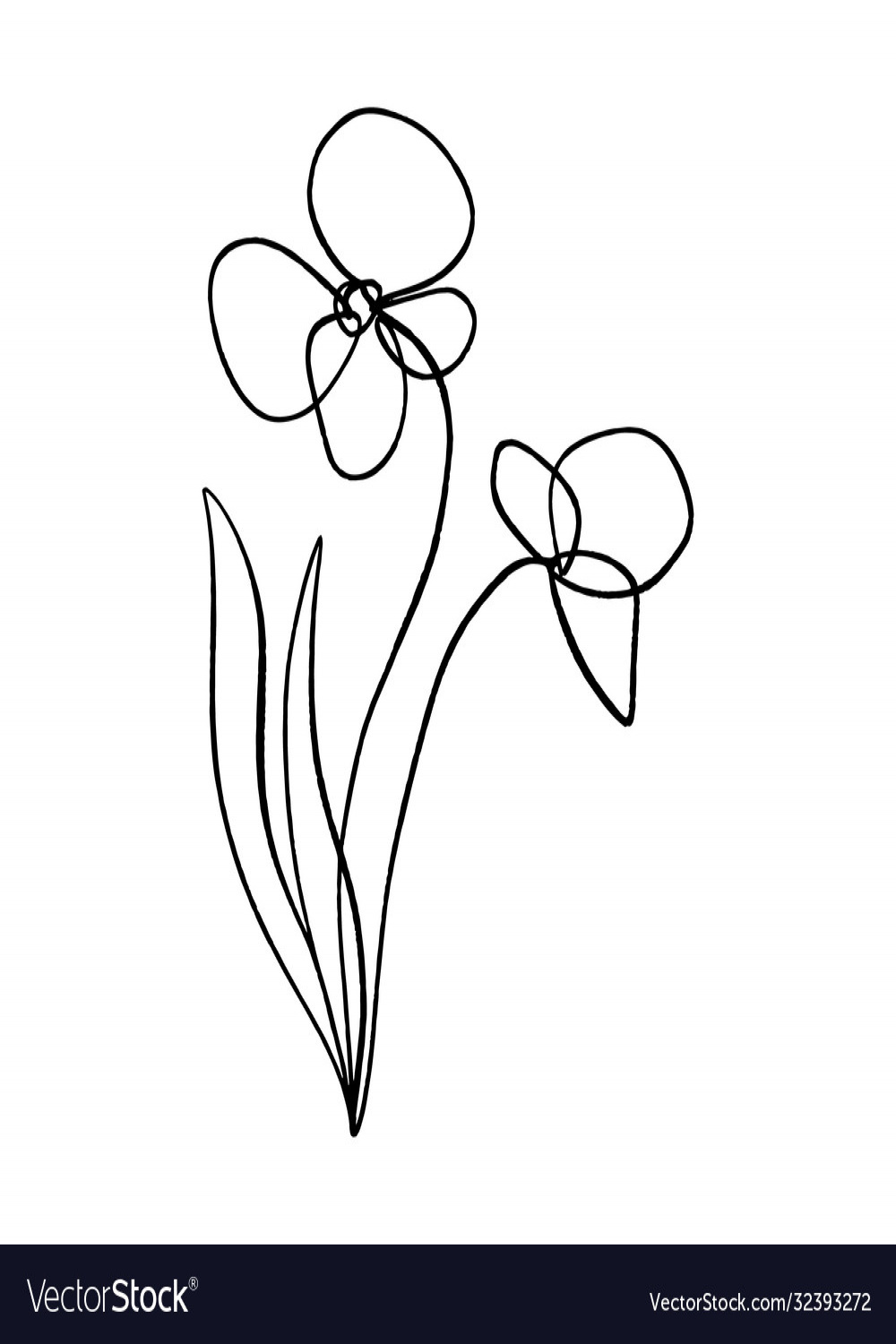 Minimalist line art flower poppy contour drawing Vector Image