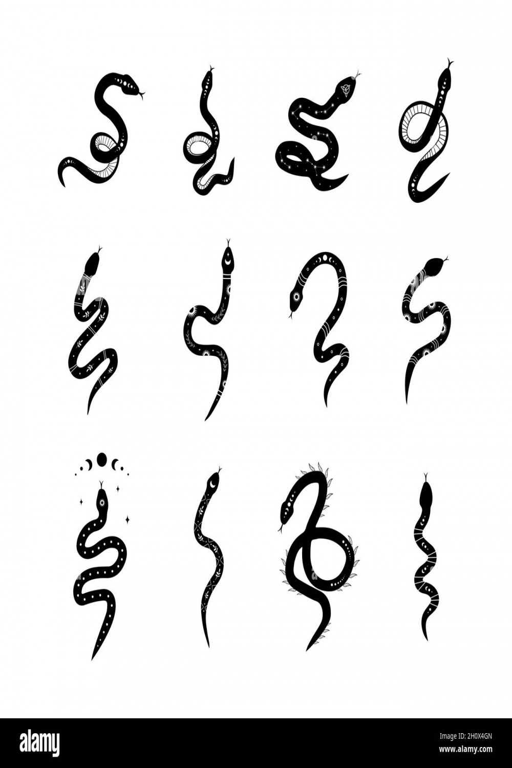 Minimalist snake drawing Black and White Stock Photos & Images - Alamy