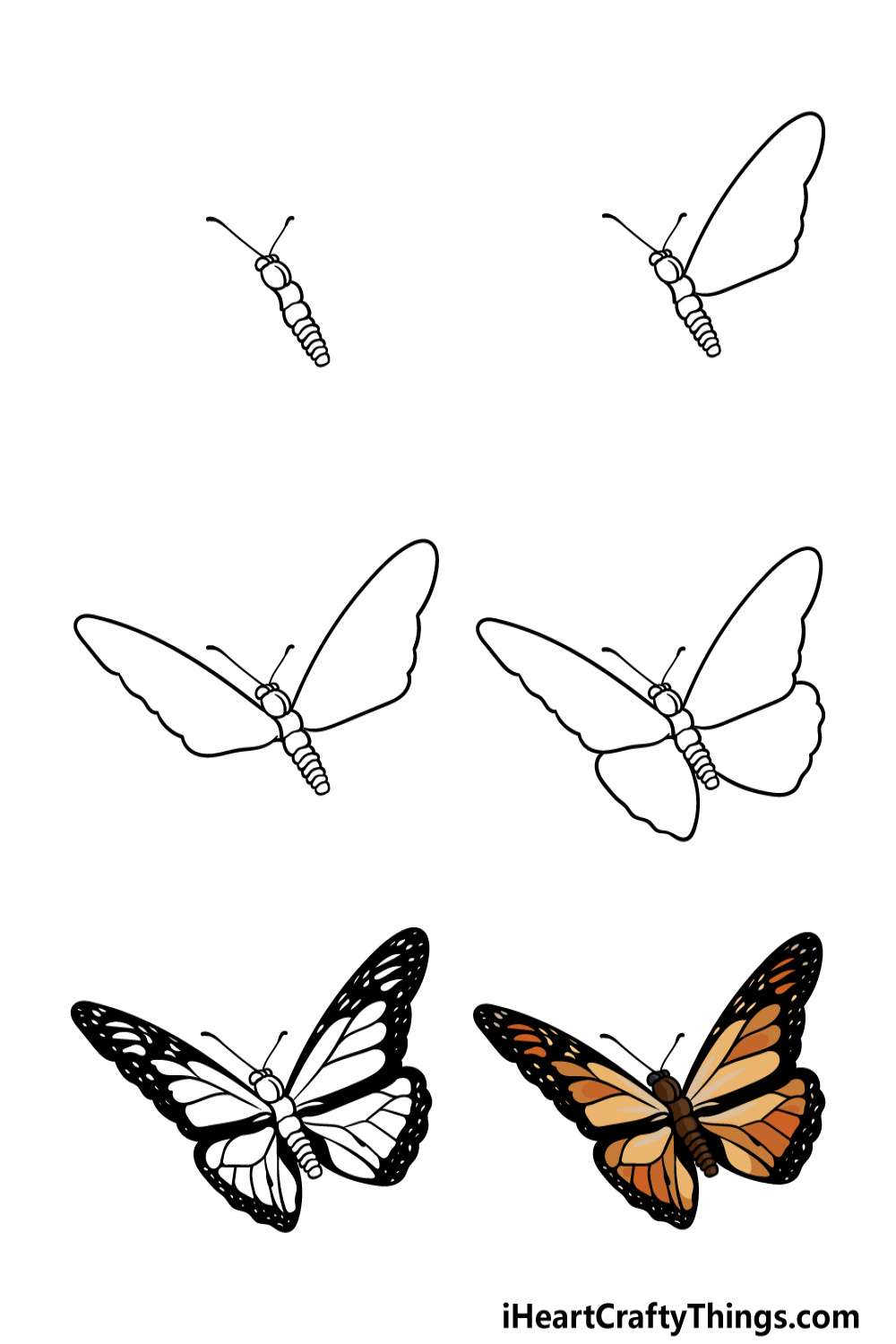 Monarch Butterfly Drawing - How To Draw A Monarch Butterfly Step