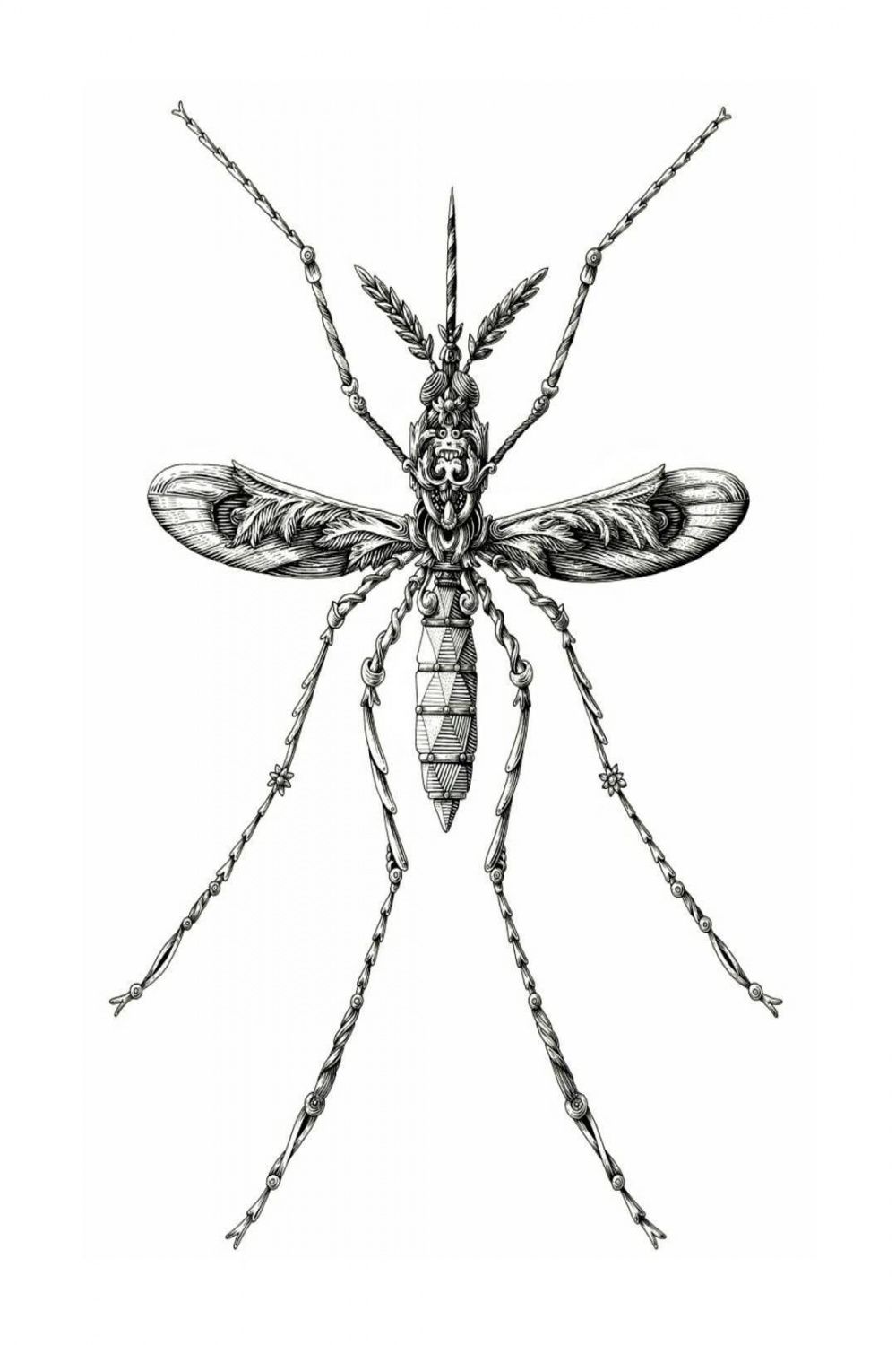 Mosquito ⚪ #drawing #illustration #nature #mosquito #ink #inkart