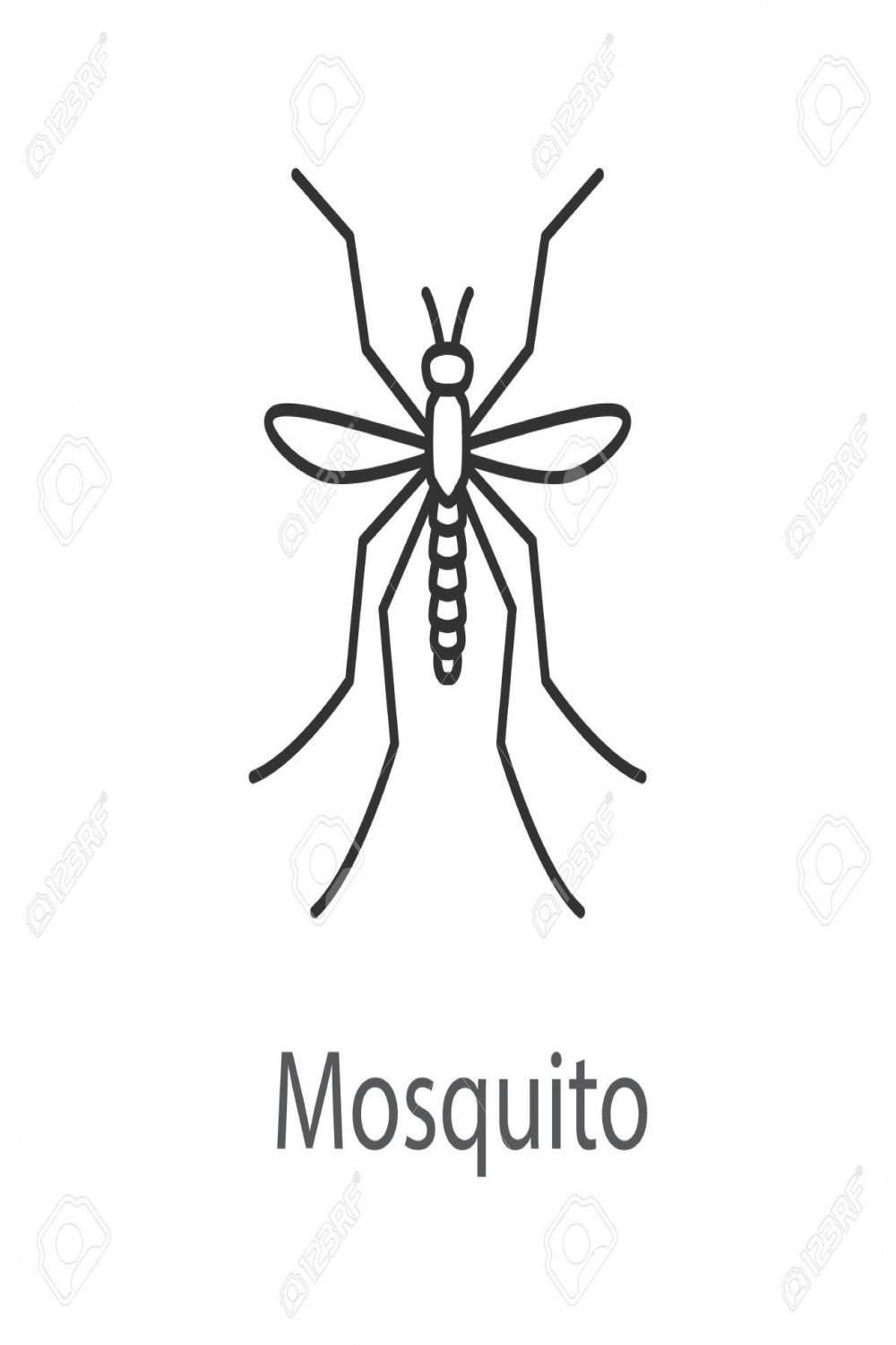 Mosquito Linear Icon Vector Isolated Outline Drawing Royalty Free
