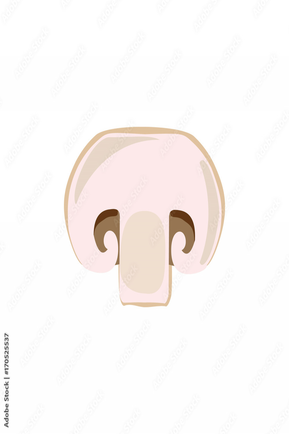 Mushroom champignon cut sliced product on white background