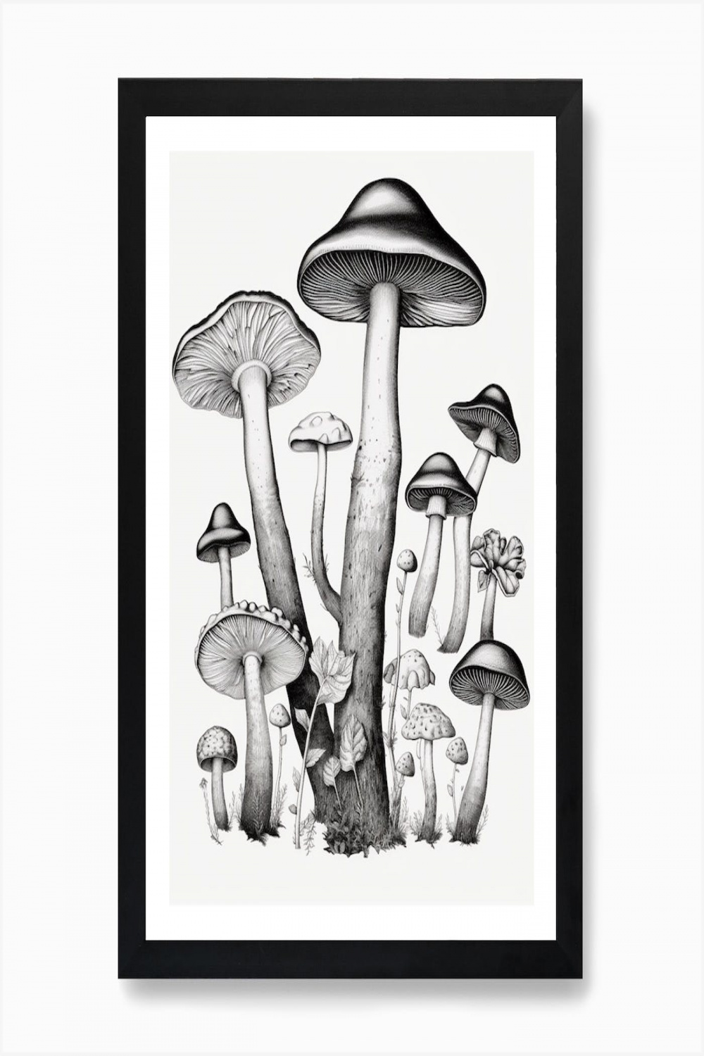 Mushroom Drawing B&W  Art Print