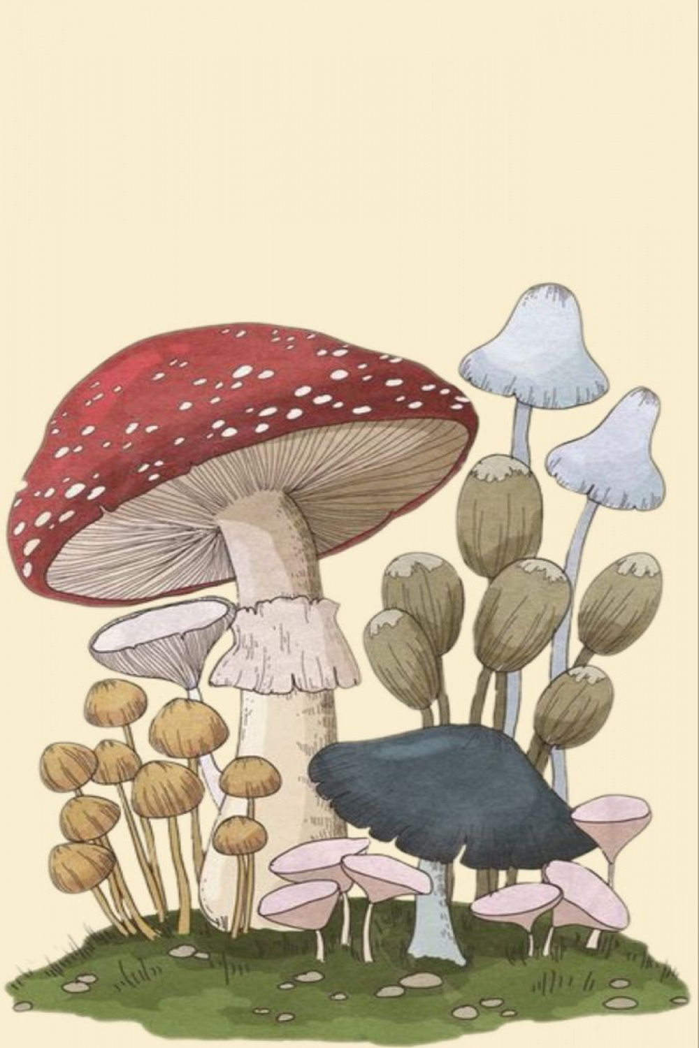 mushroom lock screen  Vintage poster art, Mushroom art, Cute drawings