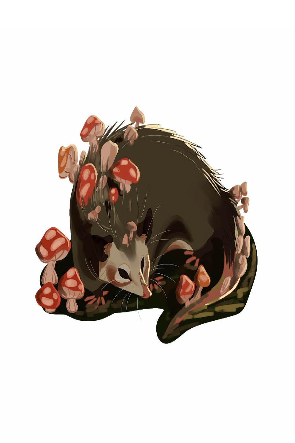 MUSHROOM OPOSSUM" by rry-dawg  Redbubble  Cute art, Cute
