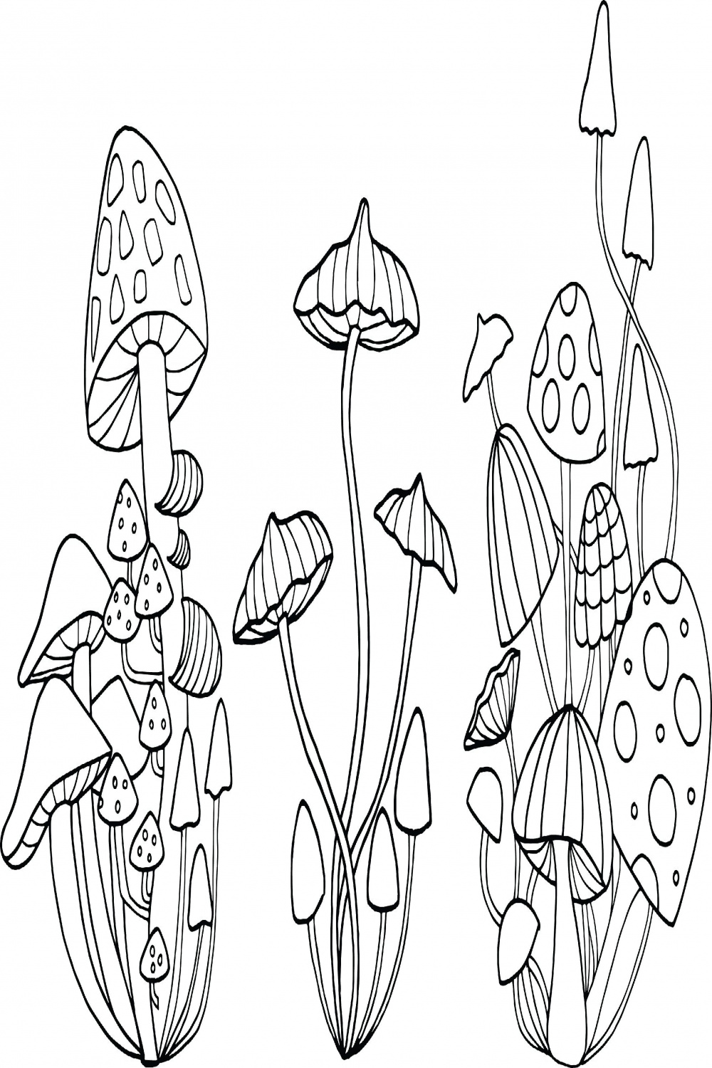 Mushrooms - color and outline  Mushroom drawing, Line art