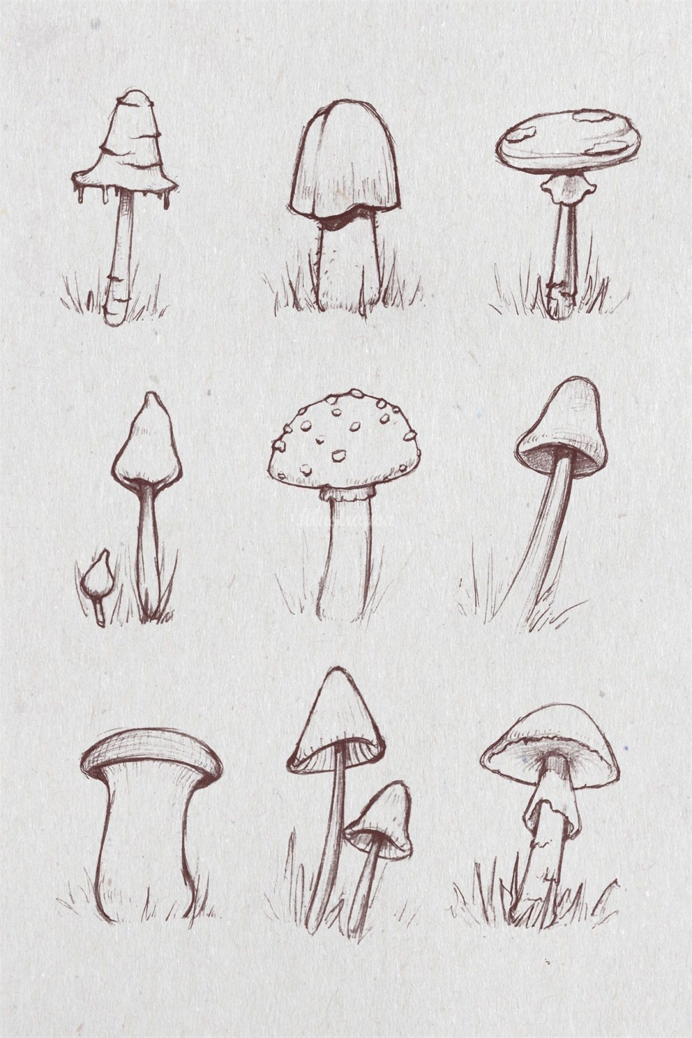 Mushrooms ideas  mushroom art, stuffed mushrooms, mushroom drawing