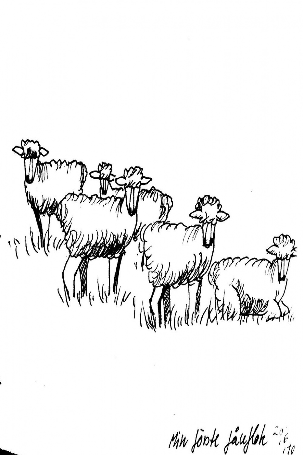 My first flock of sheep sketch  From my summer journal/logb  Flickr