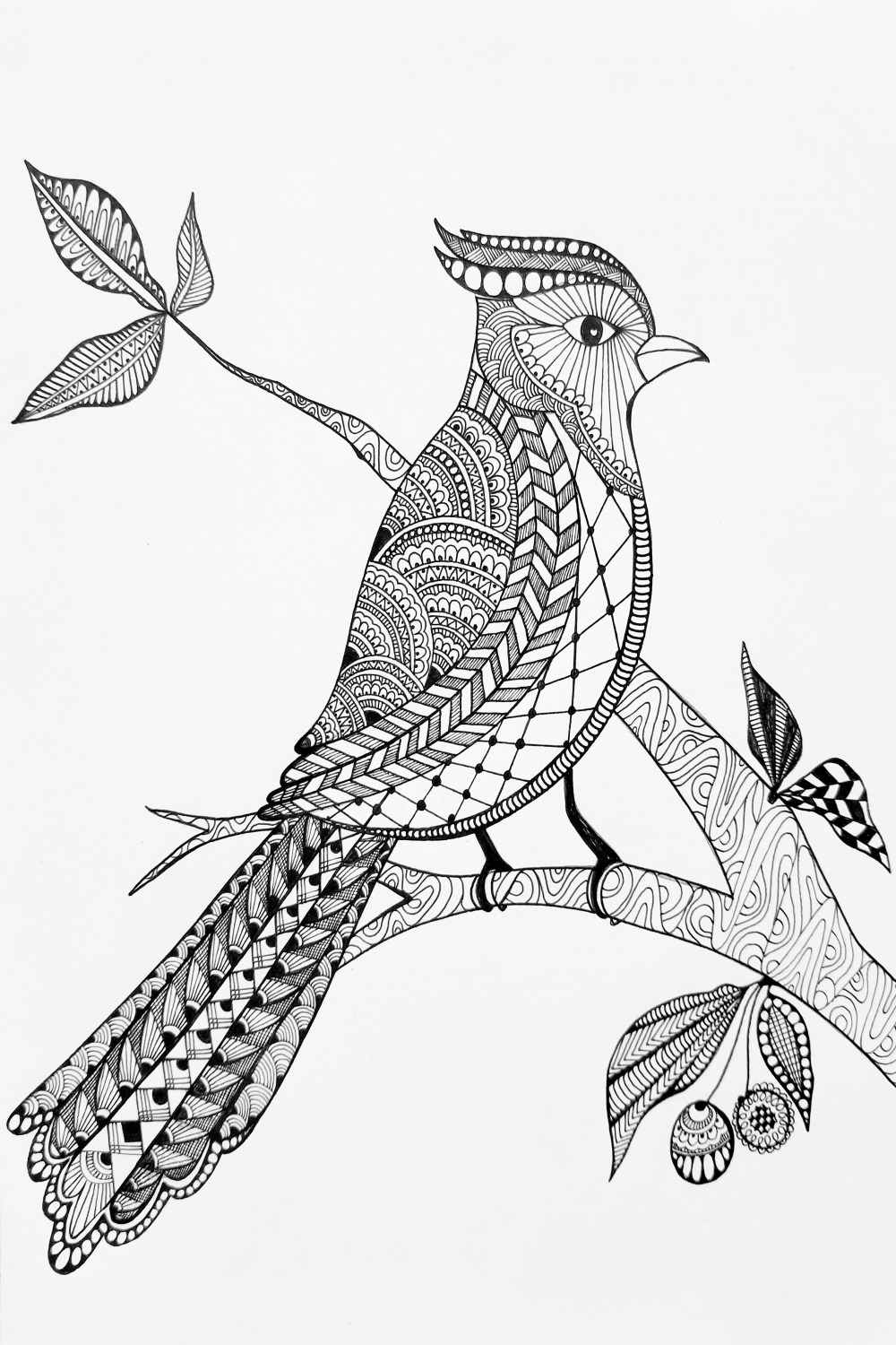 My second zentangle class learned to make patterns in this bird