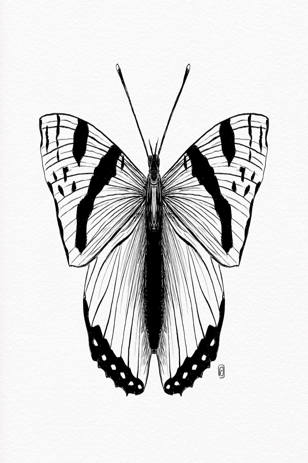 Not so real Butterflies pen-and-ink auf Behance