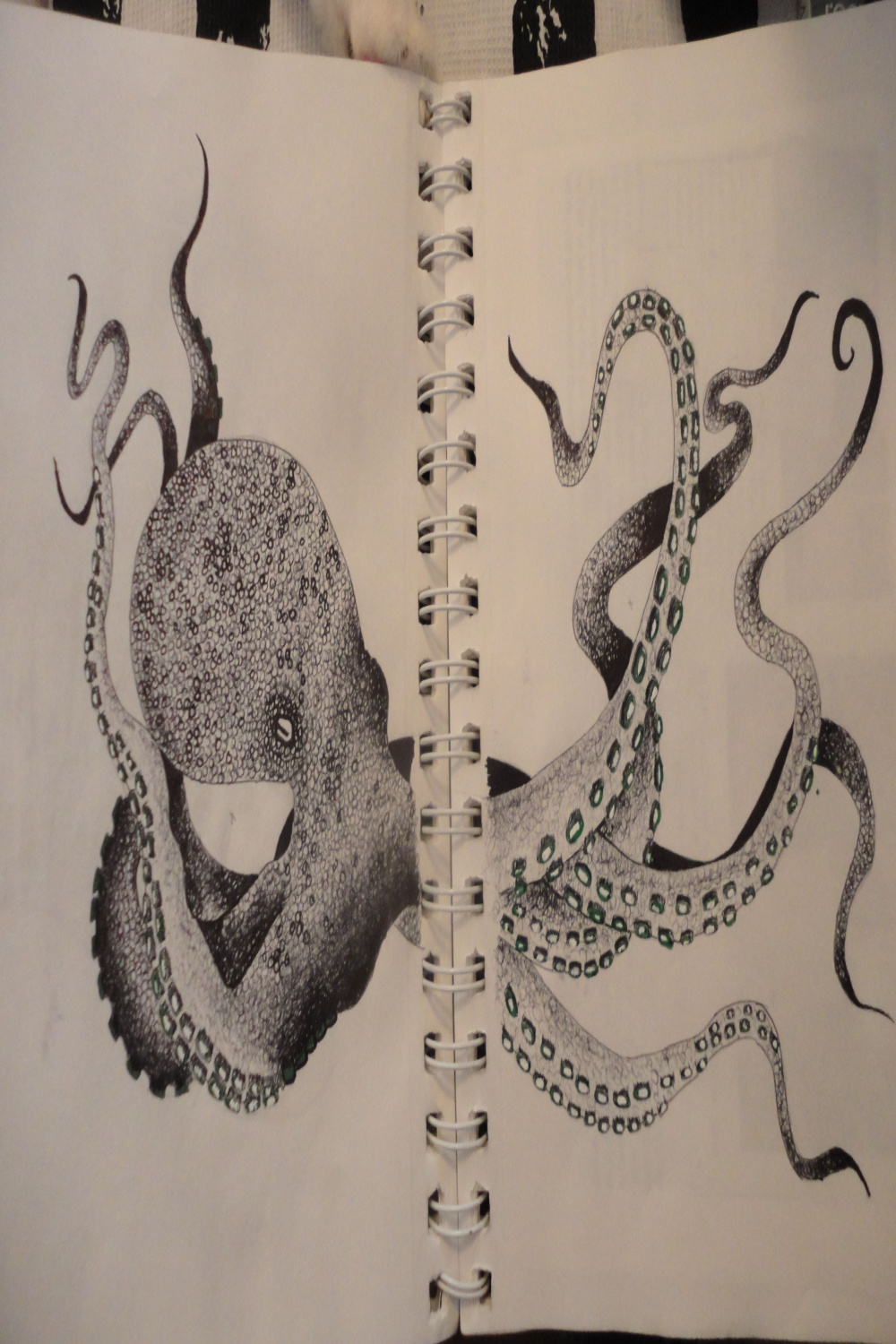 octopus done in ballpoint and india ink  Art journal, Sketch book